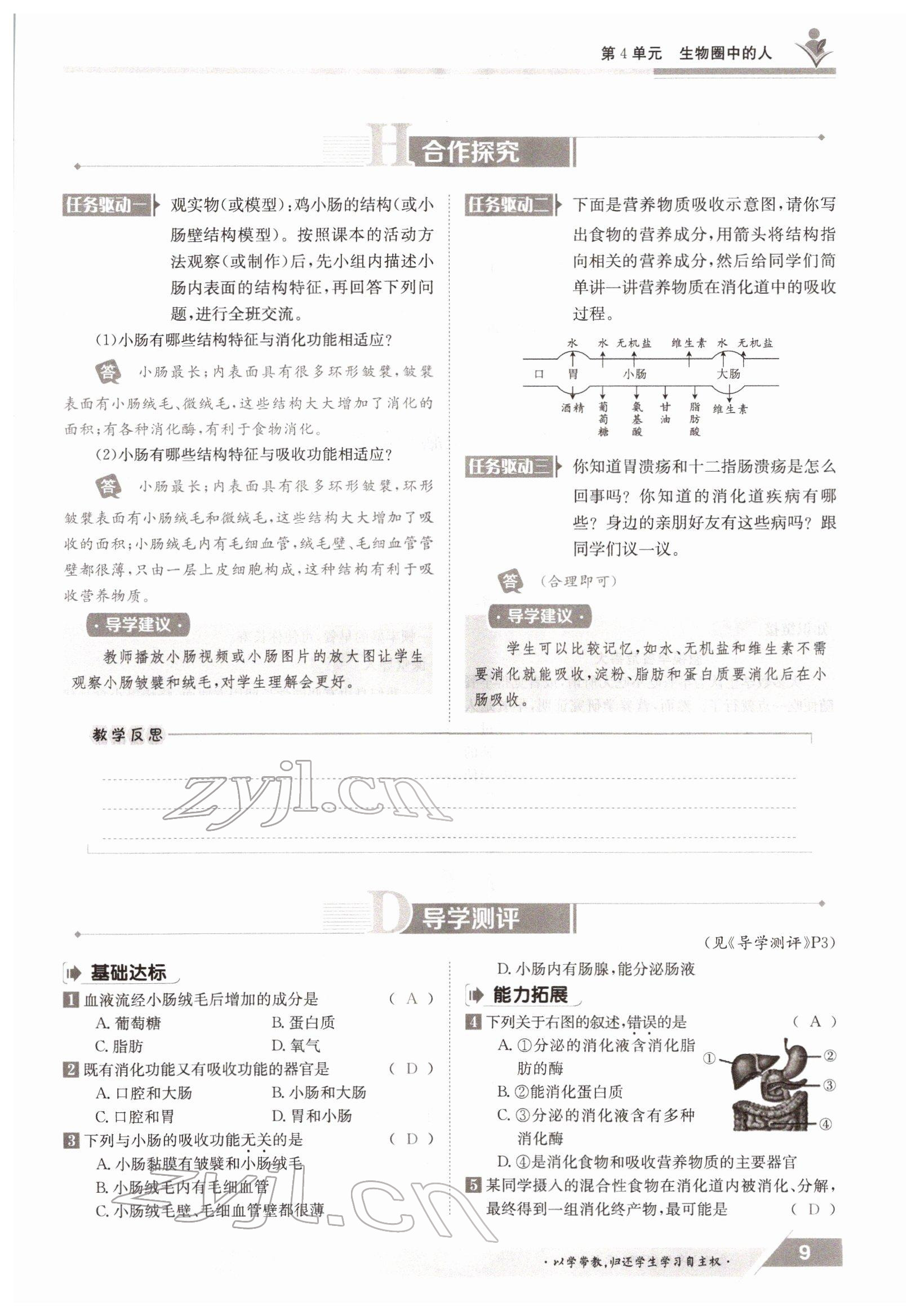 2022年三段六步導學案七年級生物下冊北師大版 參考答案第9頁