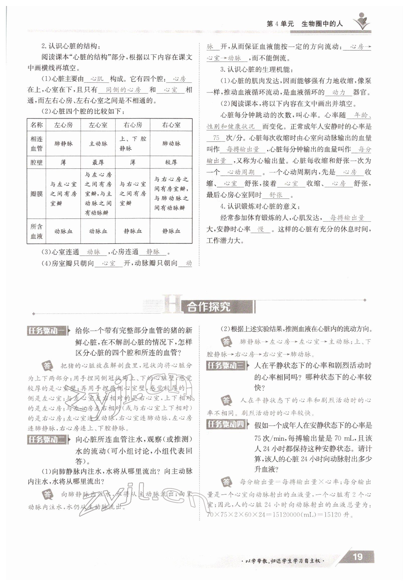 2022年三段六步導學測評七年級生物下冊北師大版 參考答案第19頁