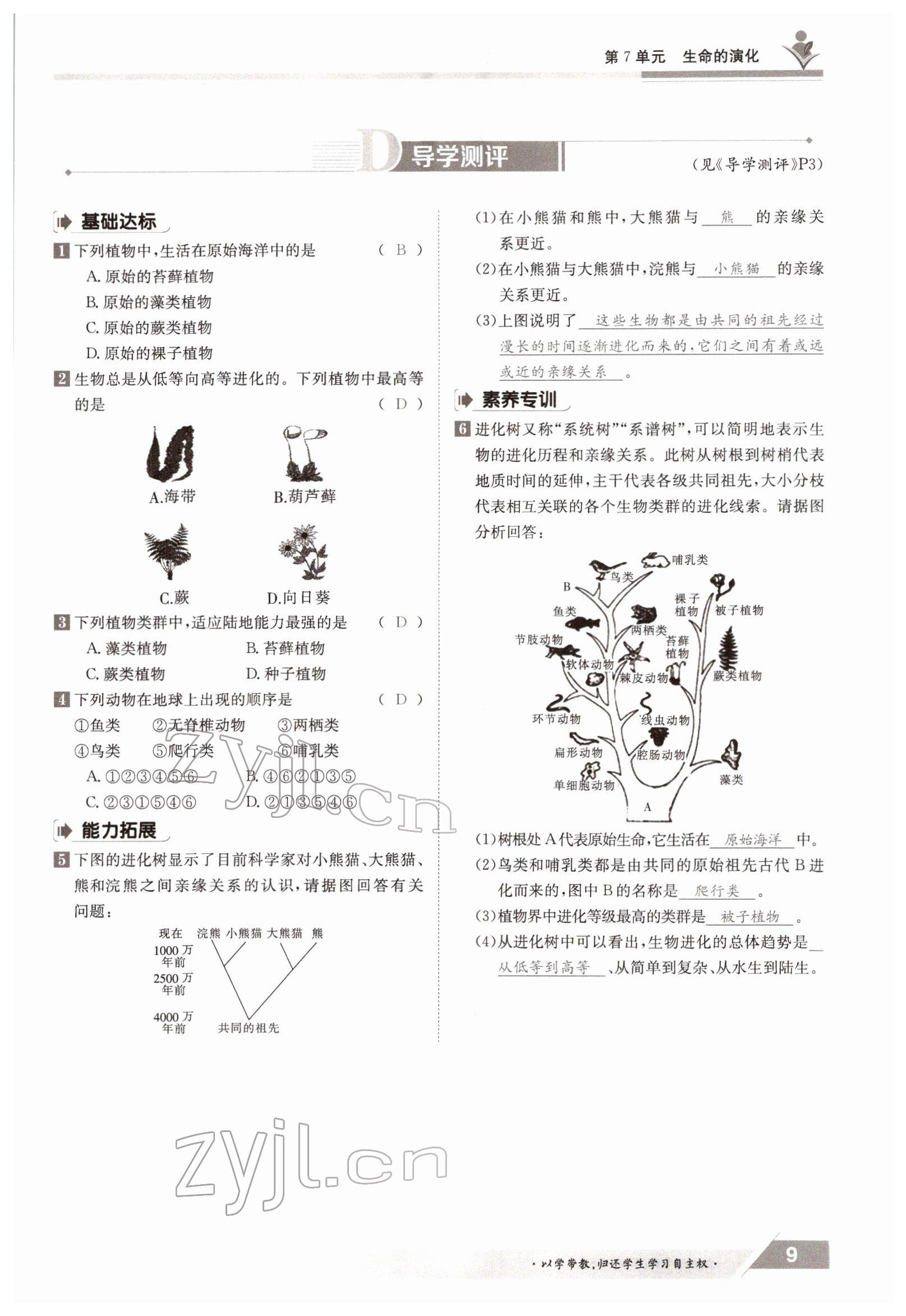 2022年三段六步導(dǎo)學(xué)測評八年級生物下冊北師大版 參考答案第9頁