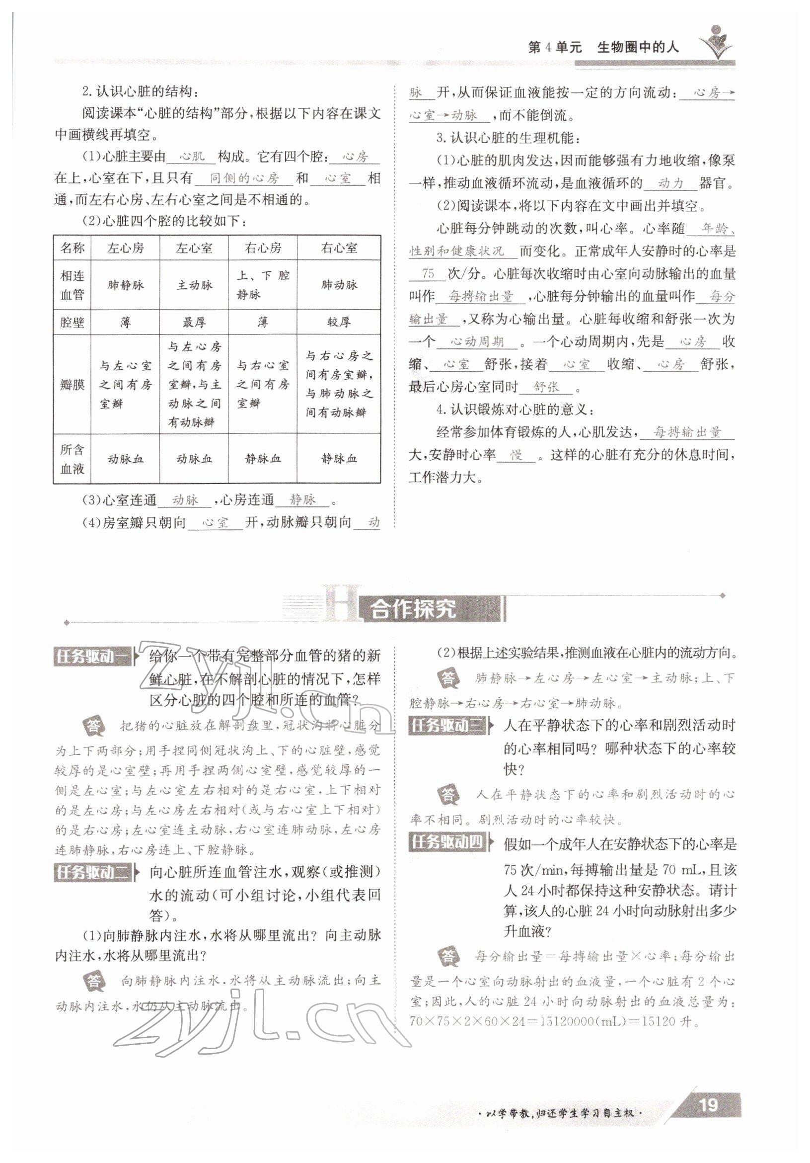 2022年金太陽導(dǎo)學(xué)測評七年級生物下冊北師大版 參考答案第19頁