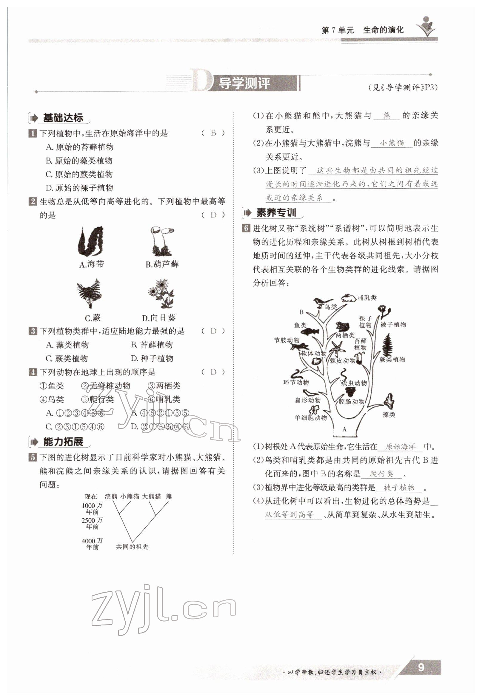 2022年三段六步導學案八年級生物下冊北師大版 參考答案第9頁