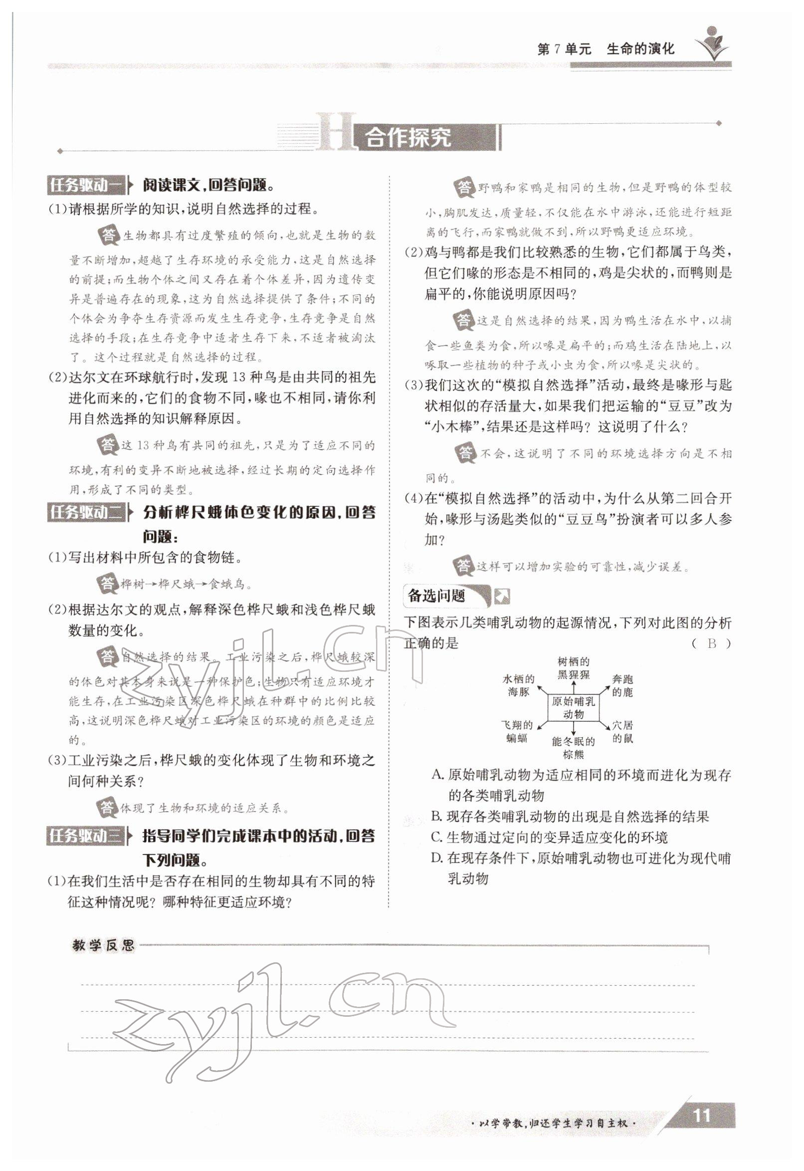 2022年三段六步導(dǎo)學(xué)案八年級(jí)生物下冊(cè)北師大版 參考答案第11頁(yè)