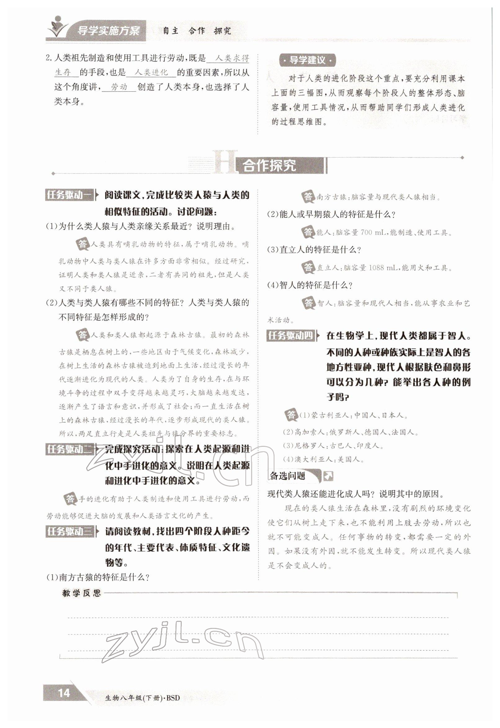 2022年三段六步導(dǎo)學(xué)案八年級生物下冊北師大版 參考答案第14頁