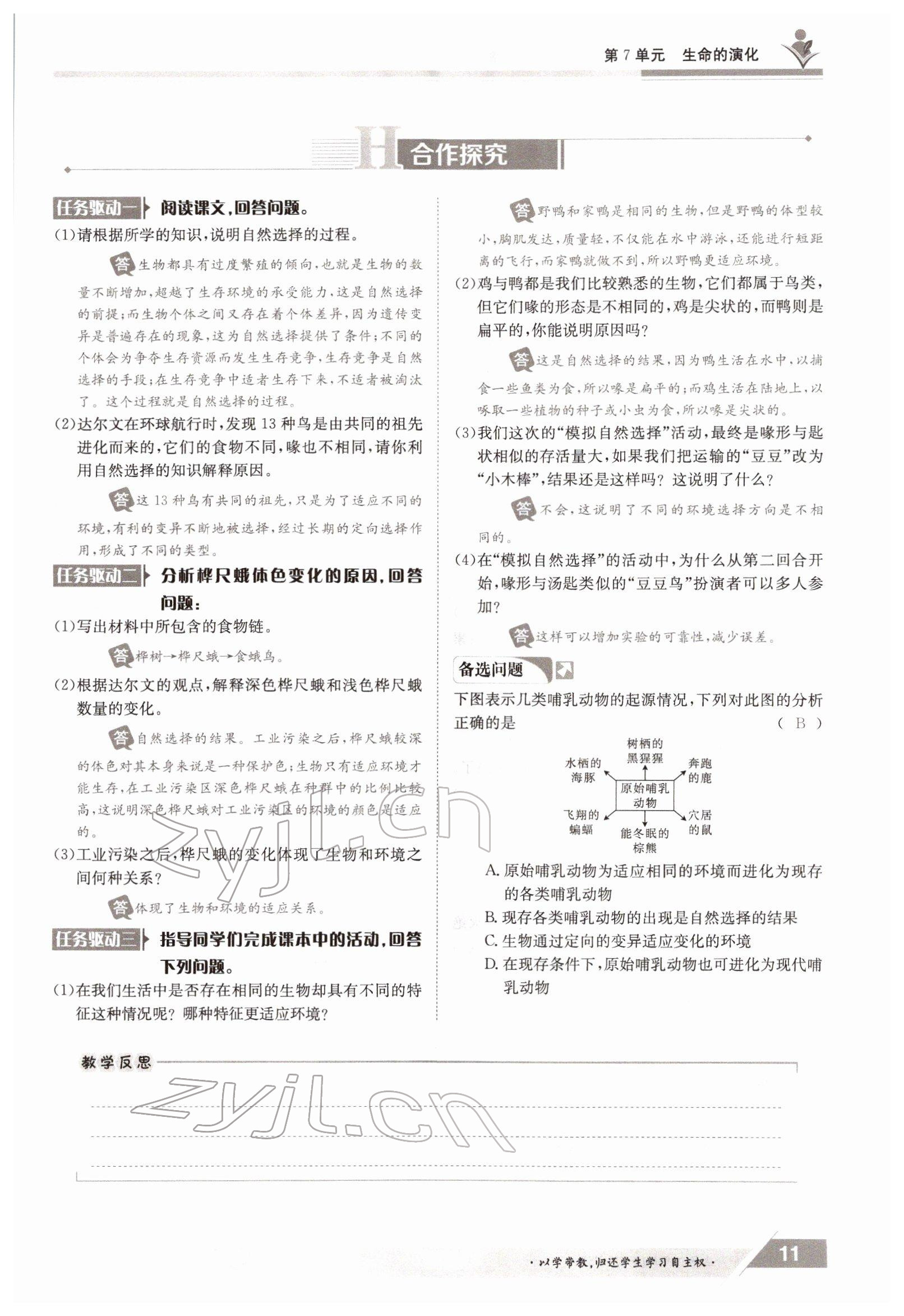 2022年金太阳导学测评八年级生物下册北师大版 参考答案第11页