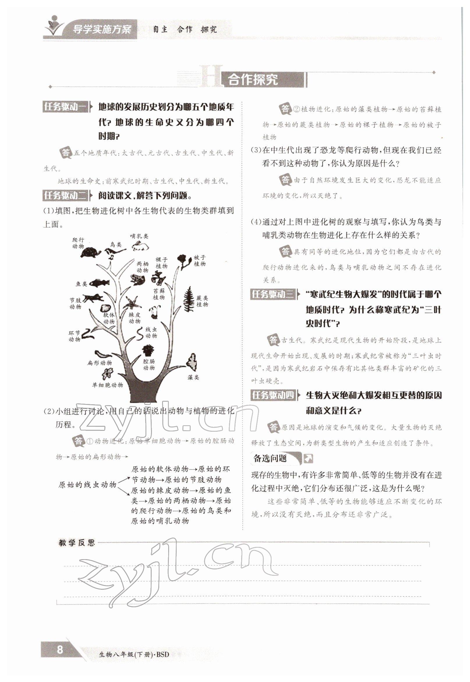 2022年金太阳导学测评八年级生物下册北师大版 参考答案第8页