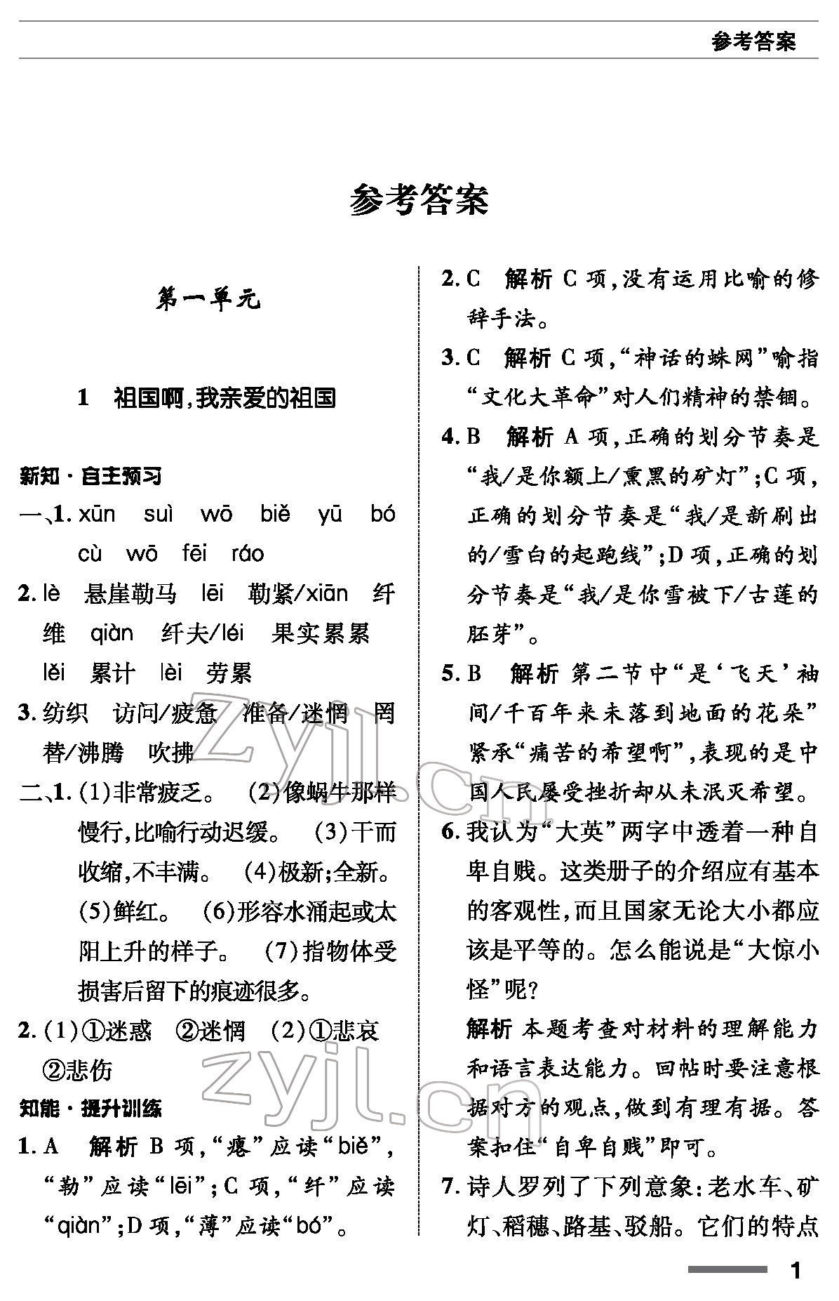 2022年语文配套综合练习九年级下册人教版 参考答案第1页