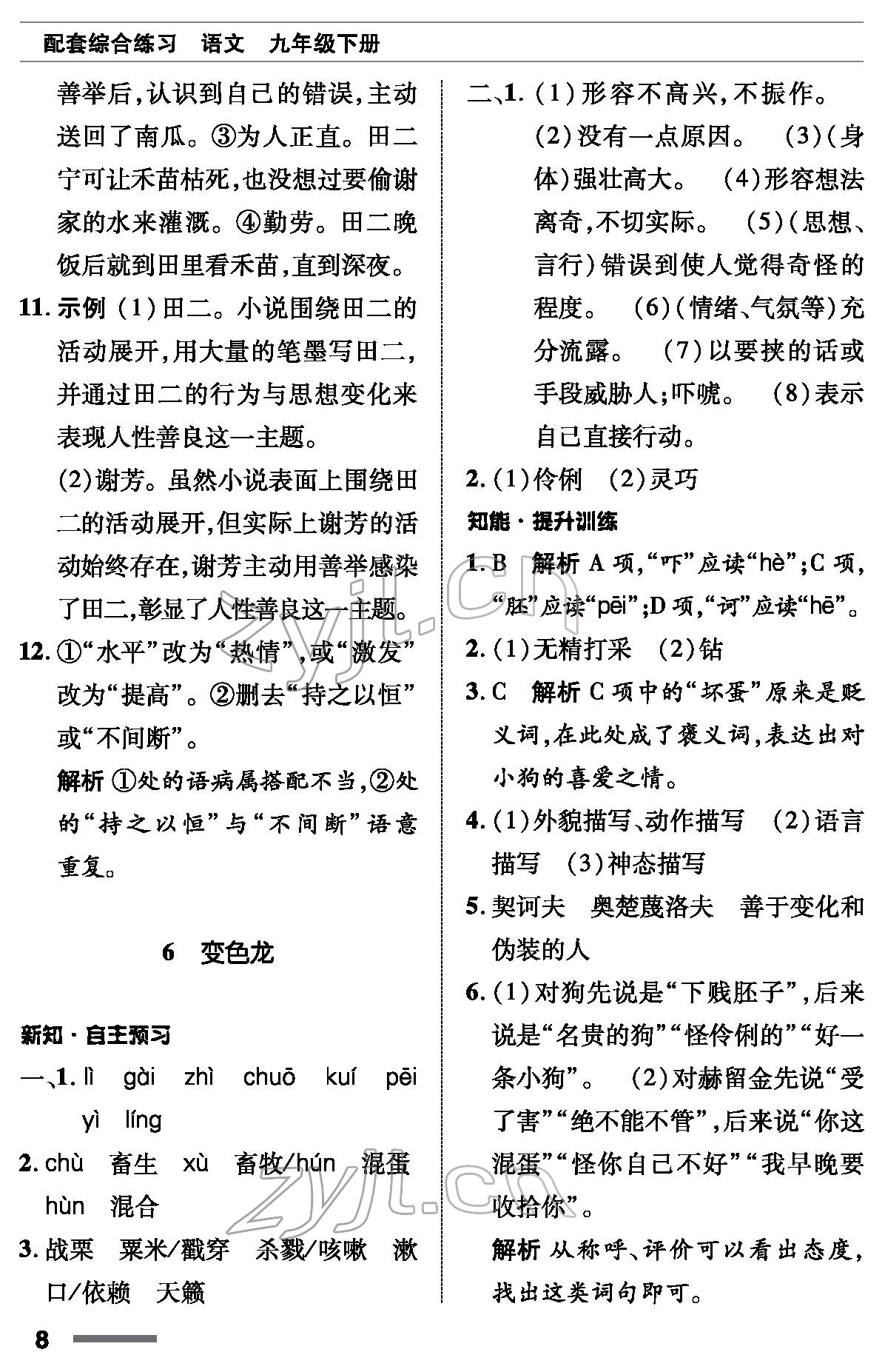 2022年语文配套综合练习九年级下册人教版 参考答案第8页