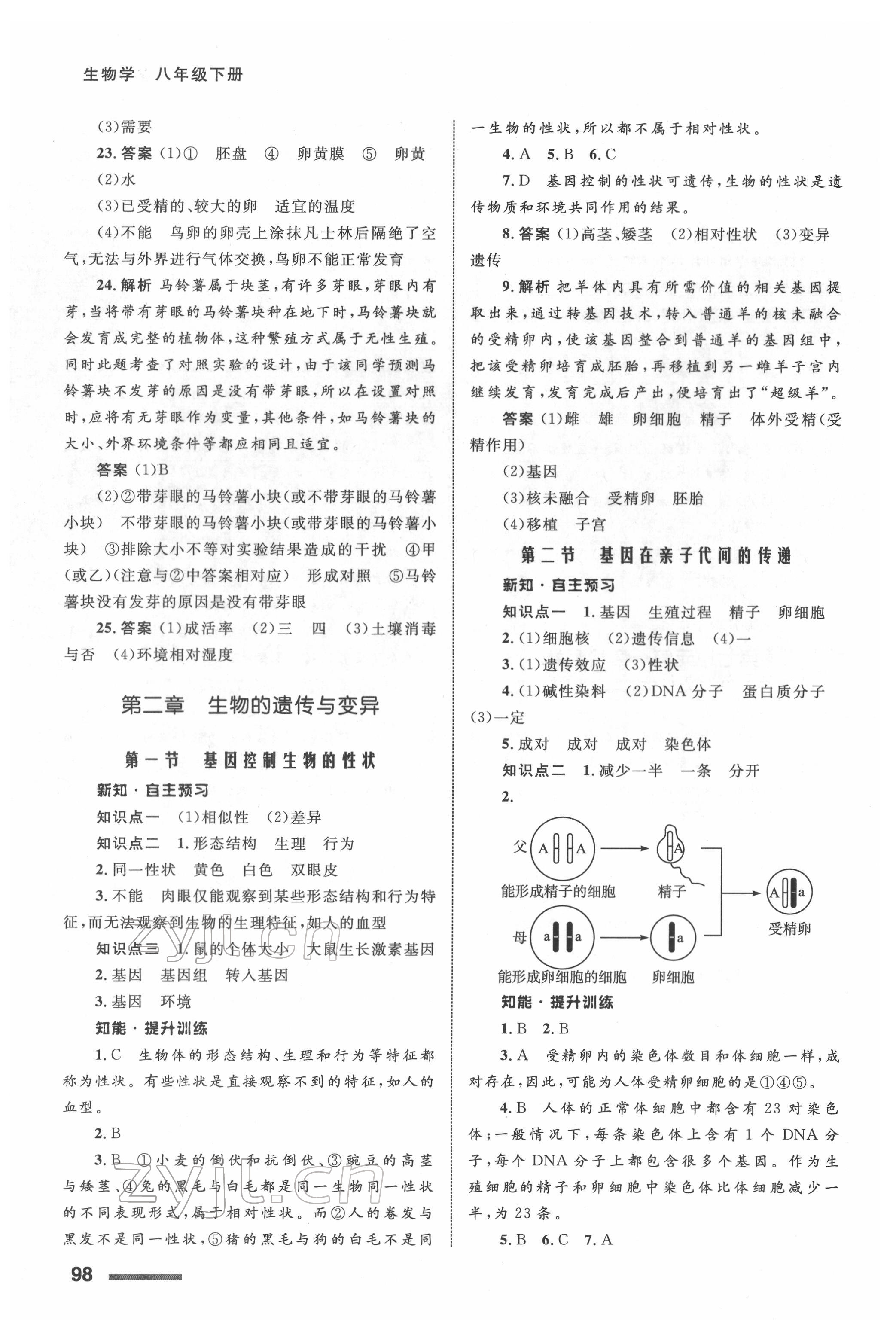 2022年配套綜合練習(xí)甘肅八年級生物下冊人教版 第4頁