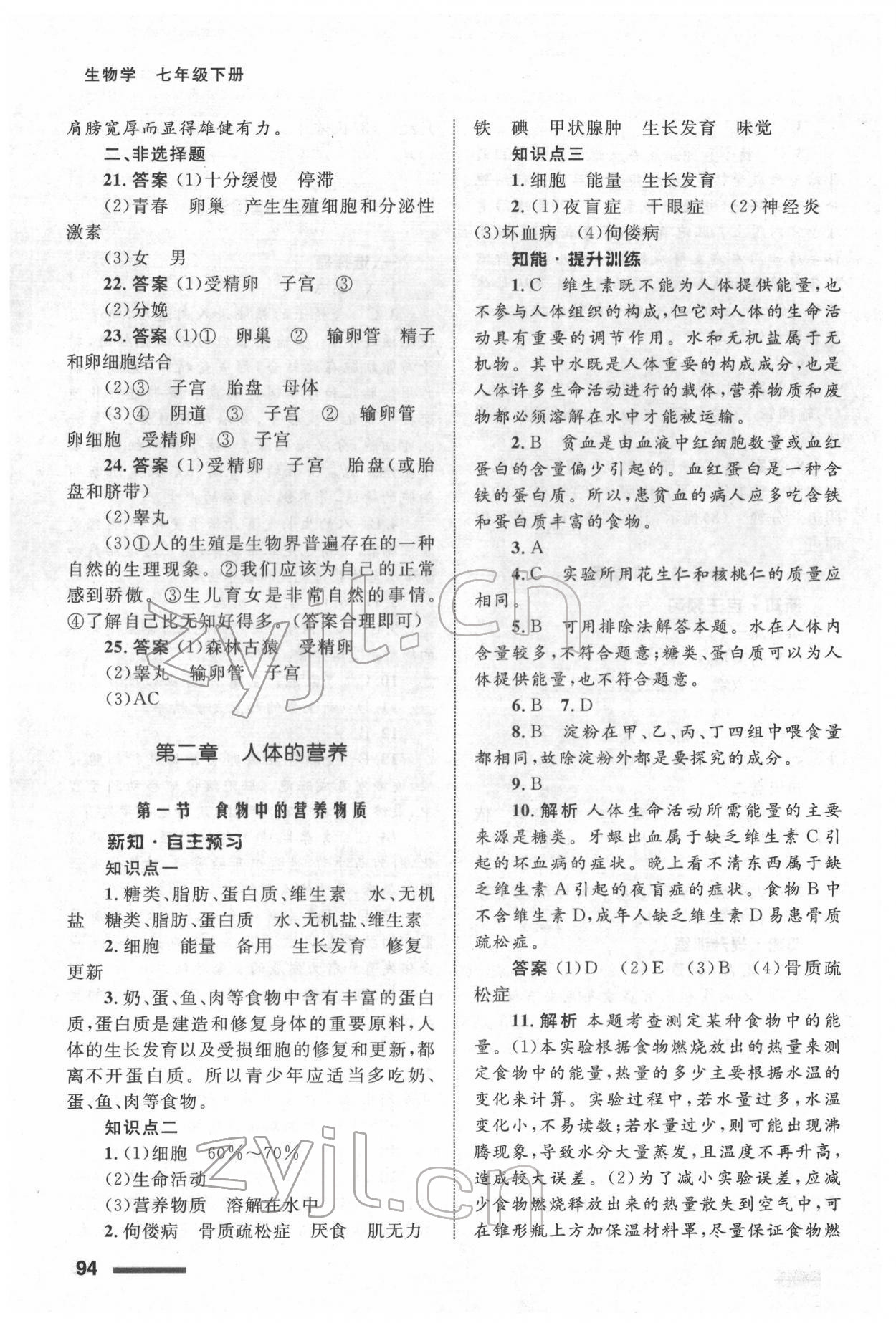 2022年配套綜合練習(xí)甘肅七年級生物下冊人教版 參考答案第3頁