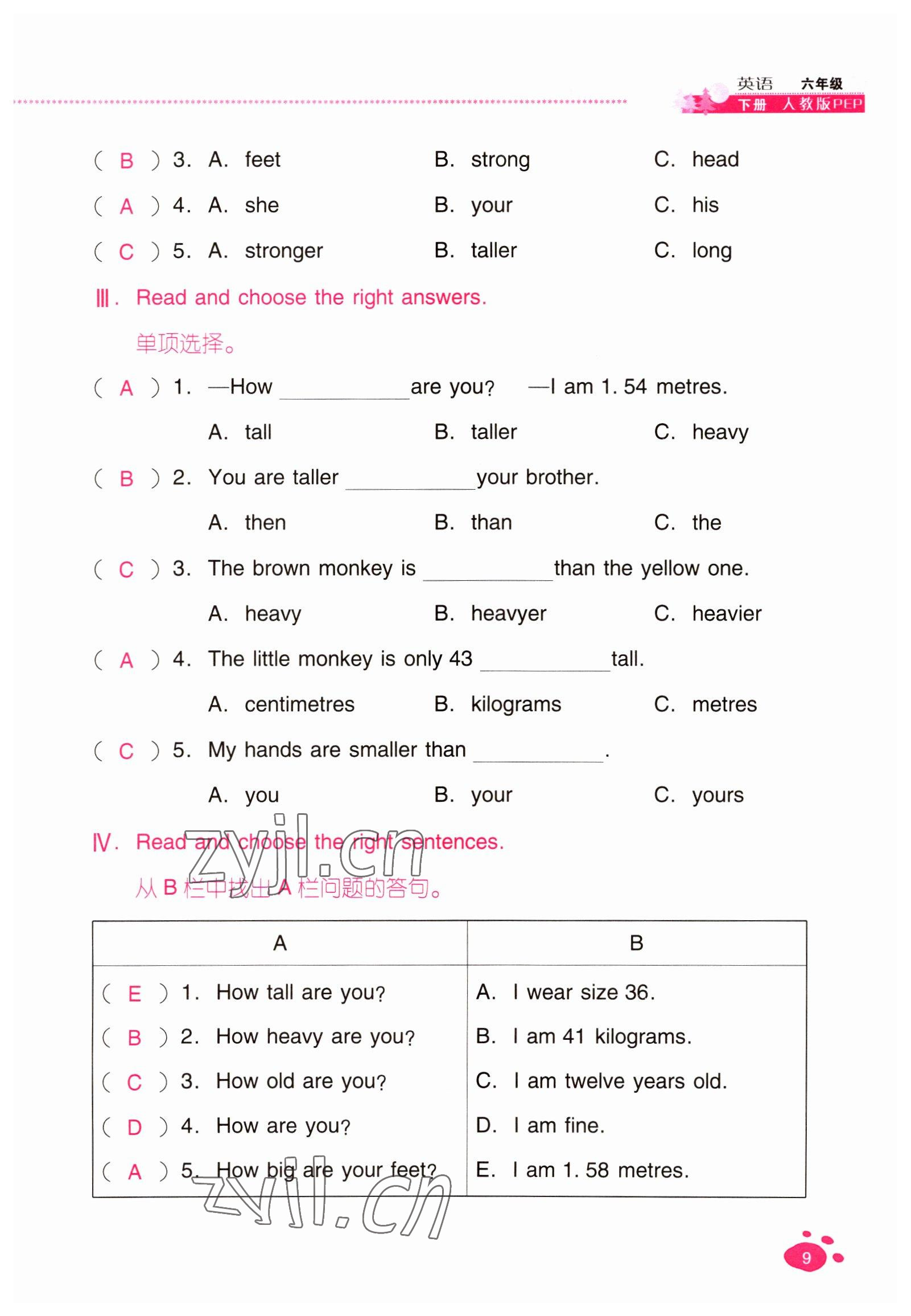 2022年云南省標準教輔同步指導(dǎo)訓(xùn)練與檢測六年級英語下冊人教版 參考答案第8頁