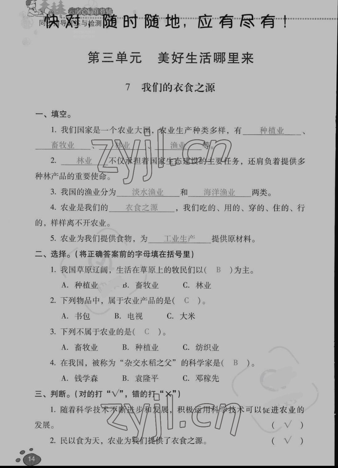 2022年云南省標準教輔同步指導訓練與檢測四年級道德與法治下冊人教版 參考答案第13頁