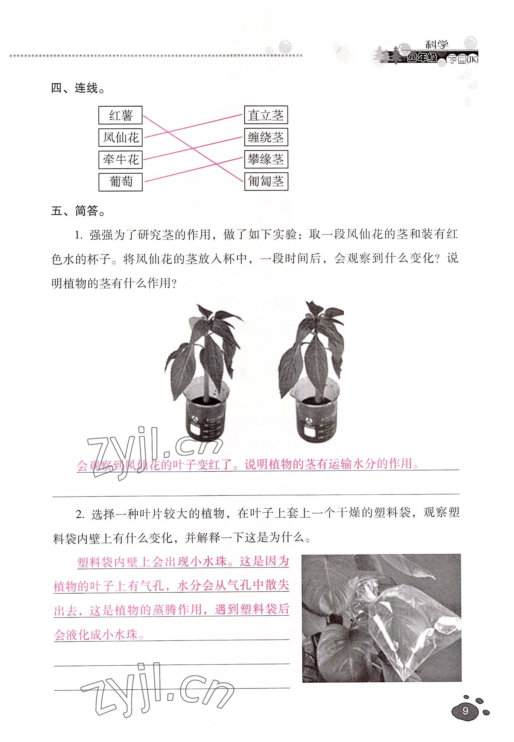 2022年云南省標(biāo)準(zhǔn)教輔同步指導(dǎo)訓(xùn)練與檢測(cè)四年級(jí)科學(xué)下冊(cè)教科版 參考答案第8頁(yè)