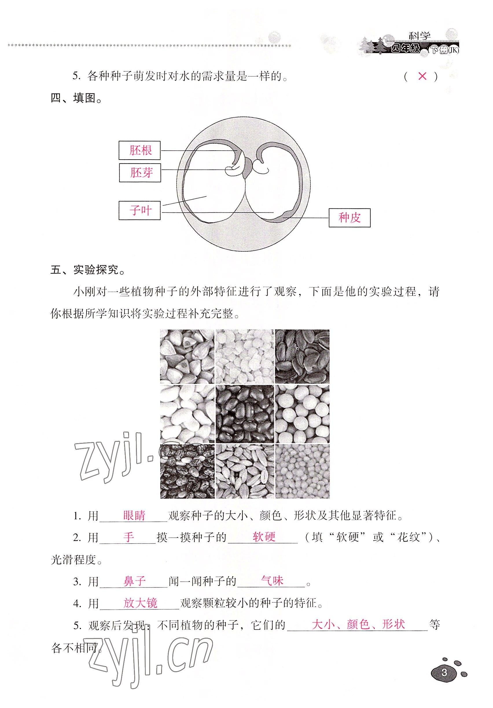 2022年云南省標(biāo)準(zhǔn)教輔同步指導(dǎo)訓(xùn)練與檢測(cè)四年級(jí)科學(xué)下冊(cè)教科版 參考答案第2頁