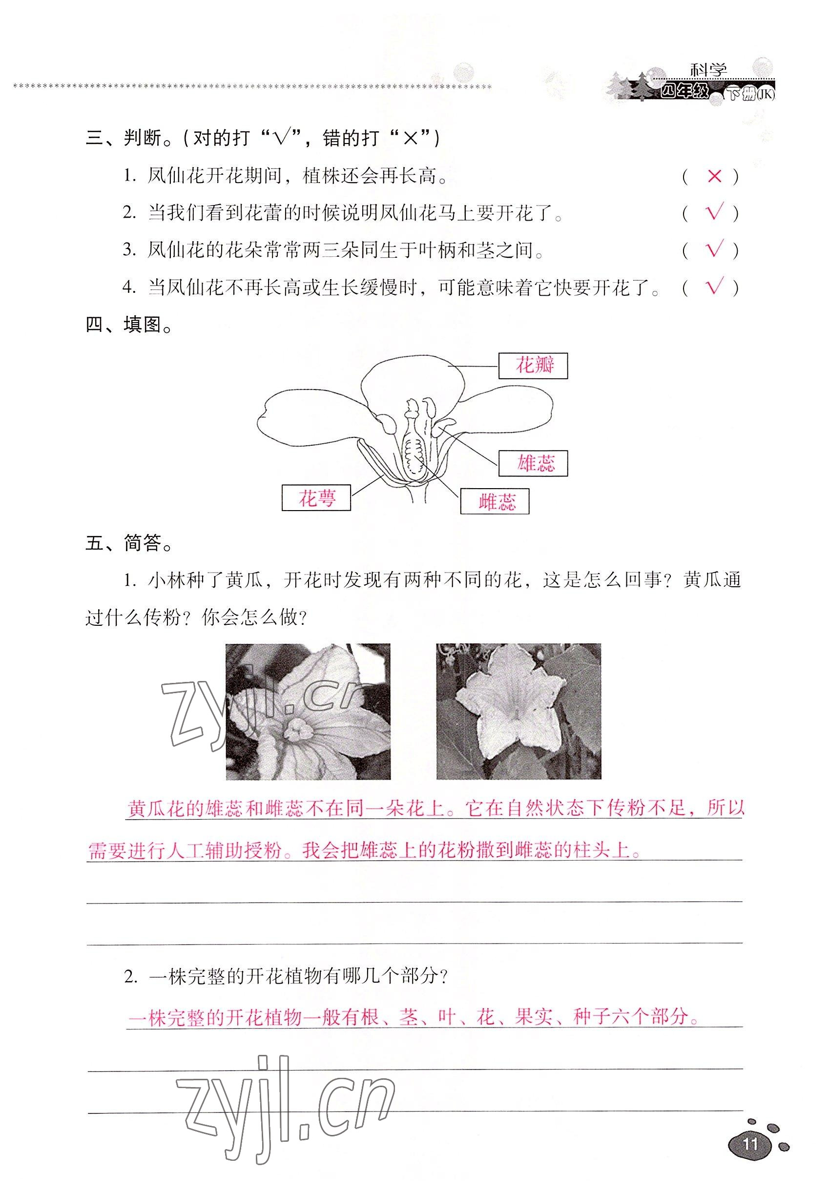 2022年云南省標準教輔同步指導訓練與檢測四年級科學下冊教科版 參考答案第10頁