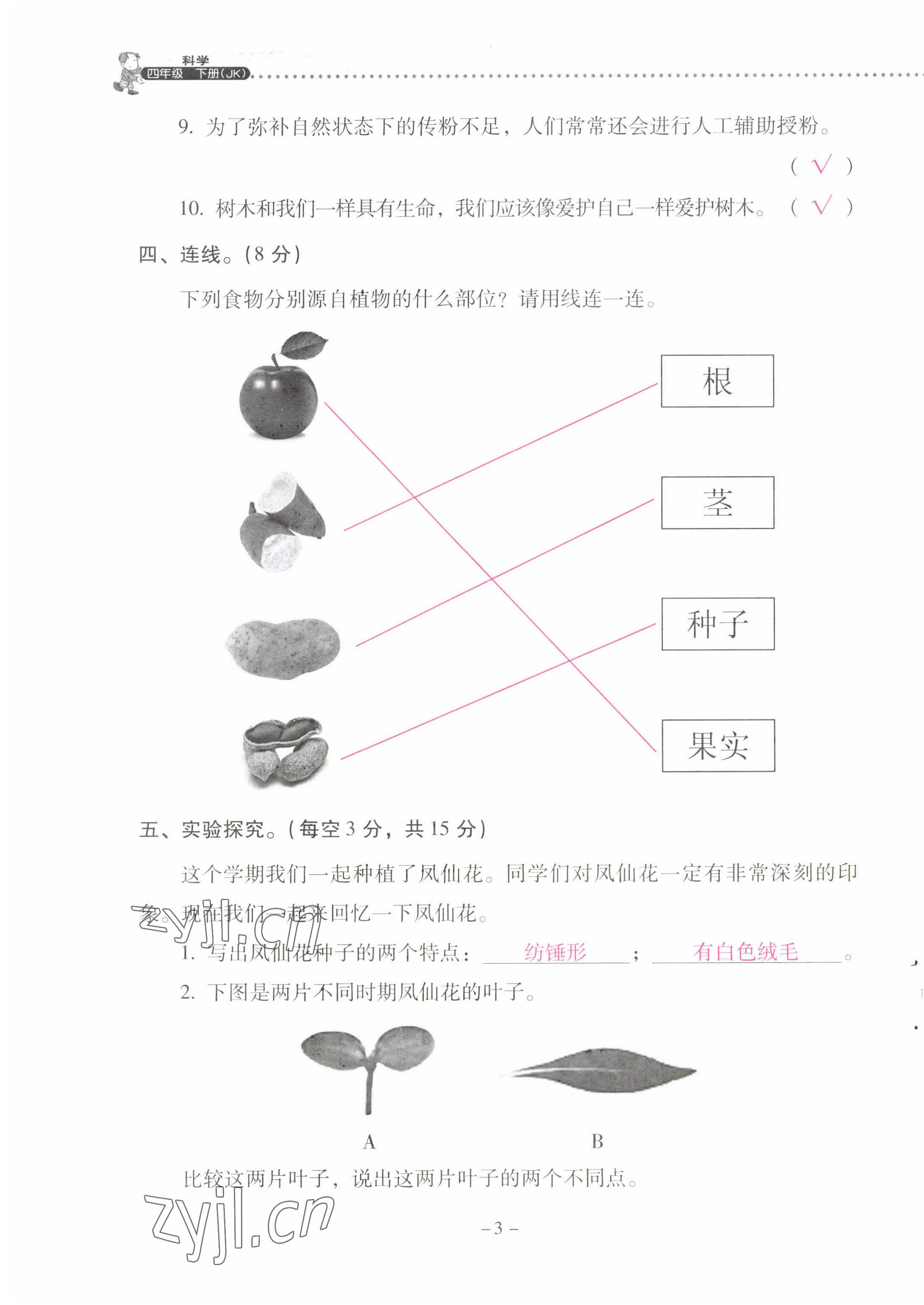 2022年云南省標準教輔同步指導訓練與檢測四年級科學下冊教科版 第3頁