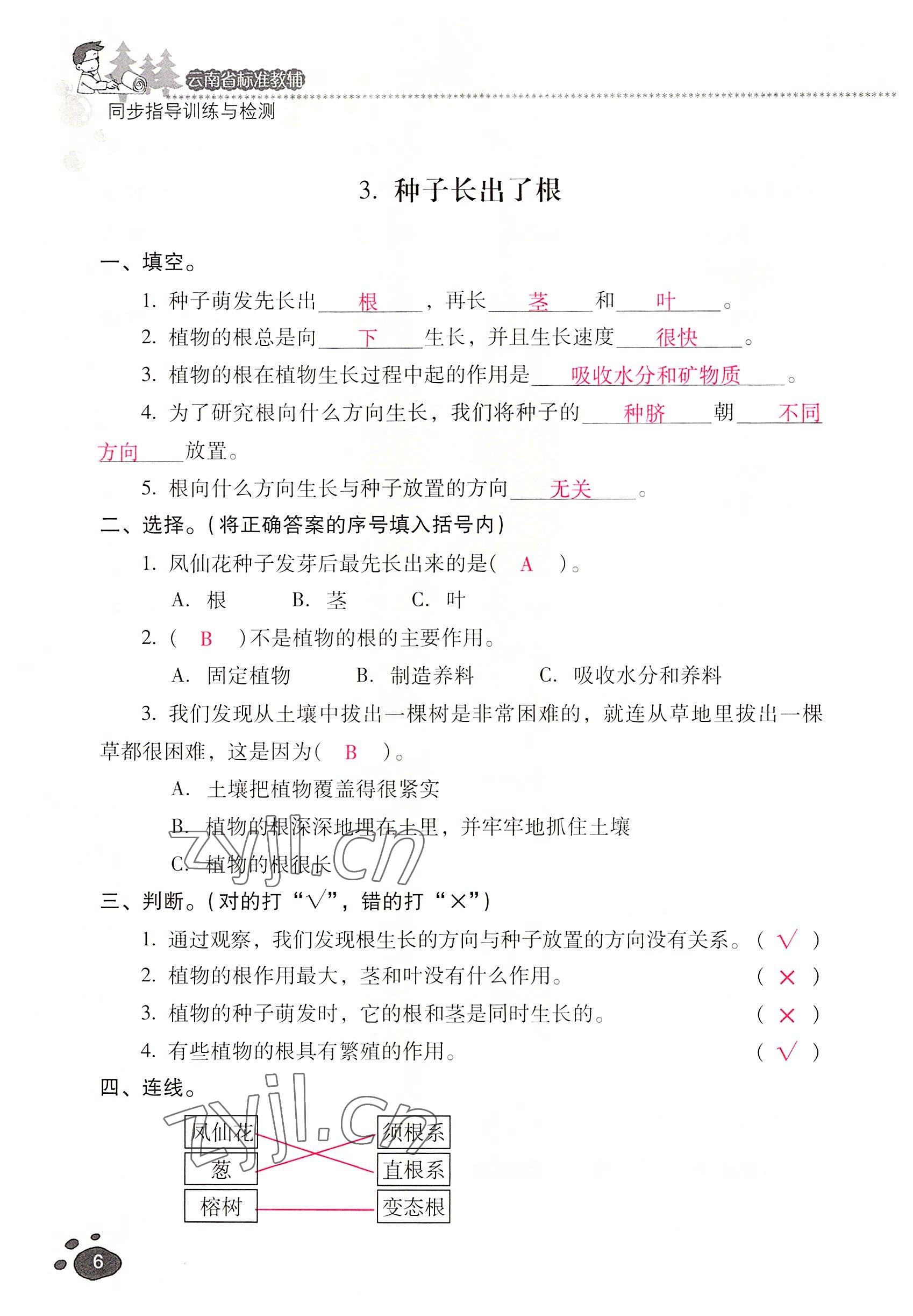 2022年云南省標(biāo)準(zhǔn)教輔同步指導(dǎo)訓(xùn)練與檢測(cè)四年級(jí)科學(xué)下冊(cè)教科版 參考答案第5頁