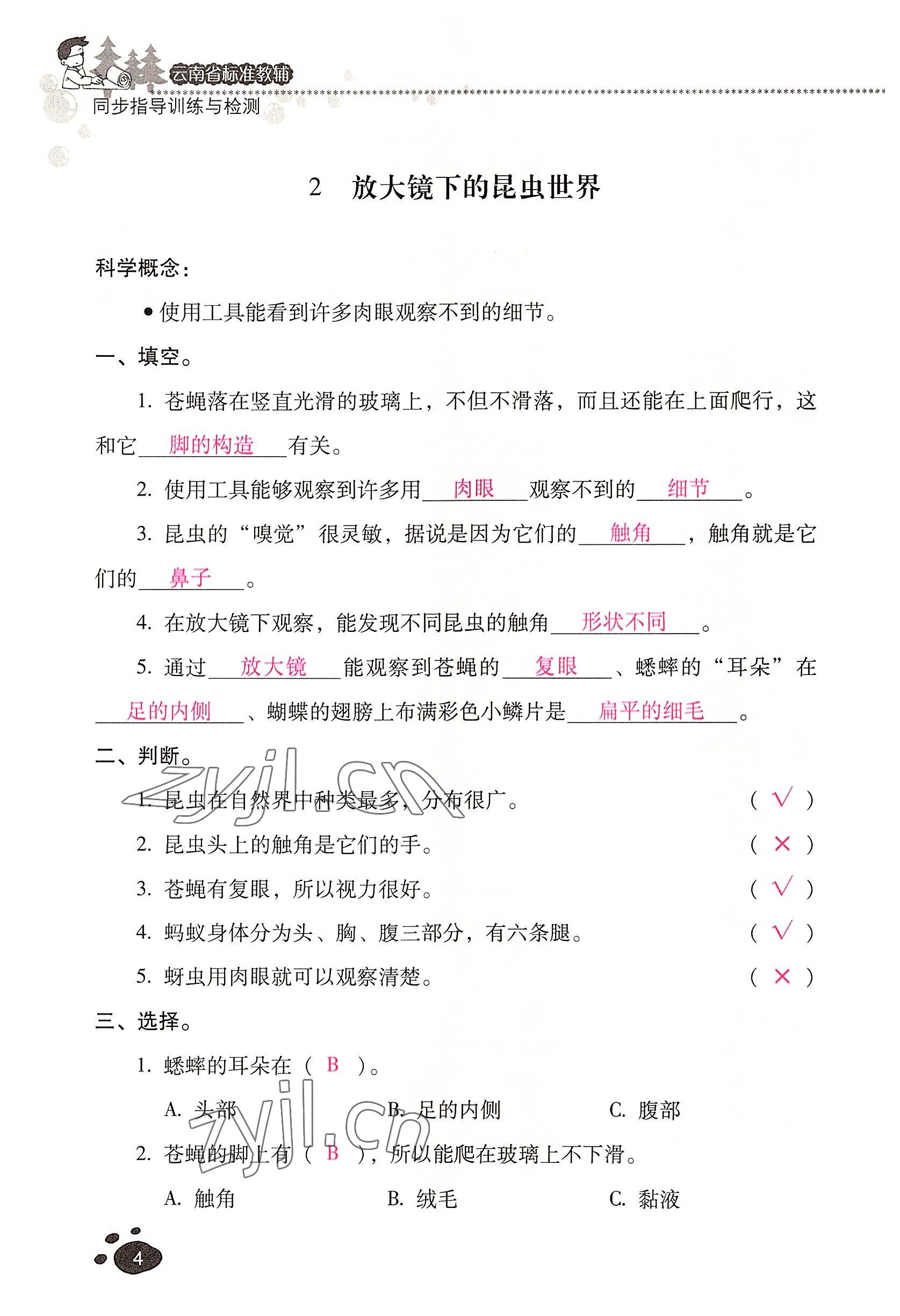 2022年云南省标准教辅同步指导训练与检测六年级科学下册教科版 参考答案第3页