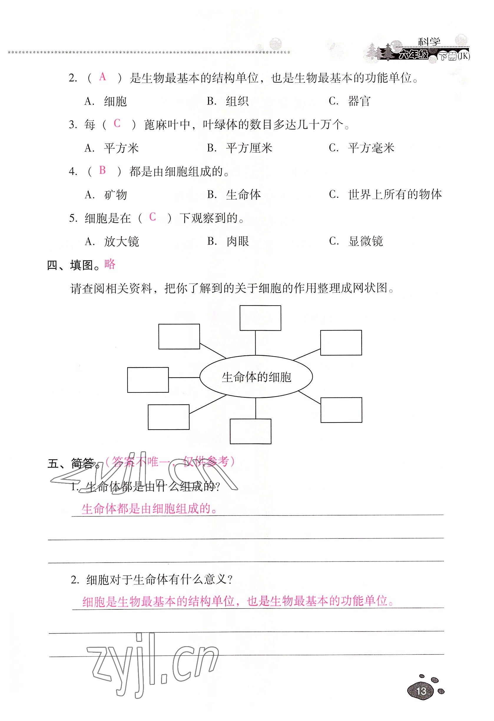 2022年云南省標(biāo)準(zhǔn)教輔同步指導(dǎo)訓(xùn)練與檢測六年級科學(xué)下冊教科版 參考答案第12頁