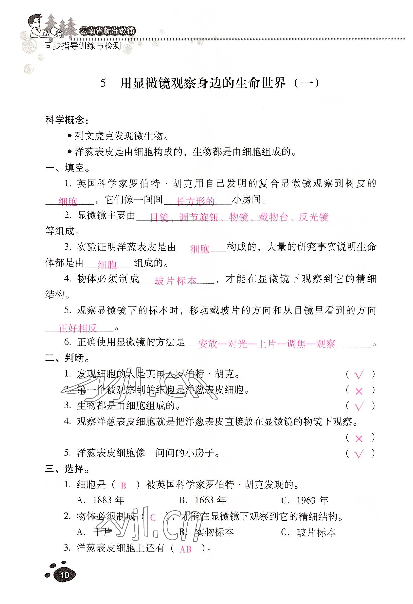 2022年云南省標(biāo)準(zhǔn)教輔同步指導(dǎo)訓(xùn)練與檢測(cè)六年級(jí)科學(xué)下冊(cè)教科版 參考答案第9頁(yè)