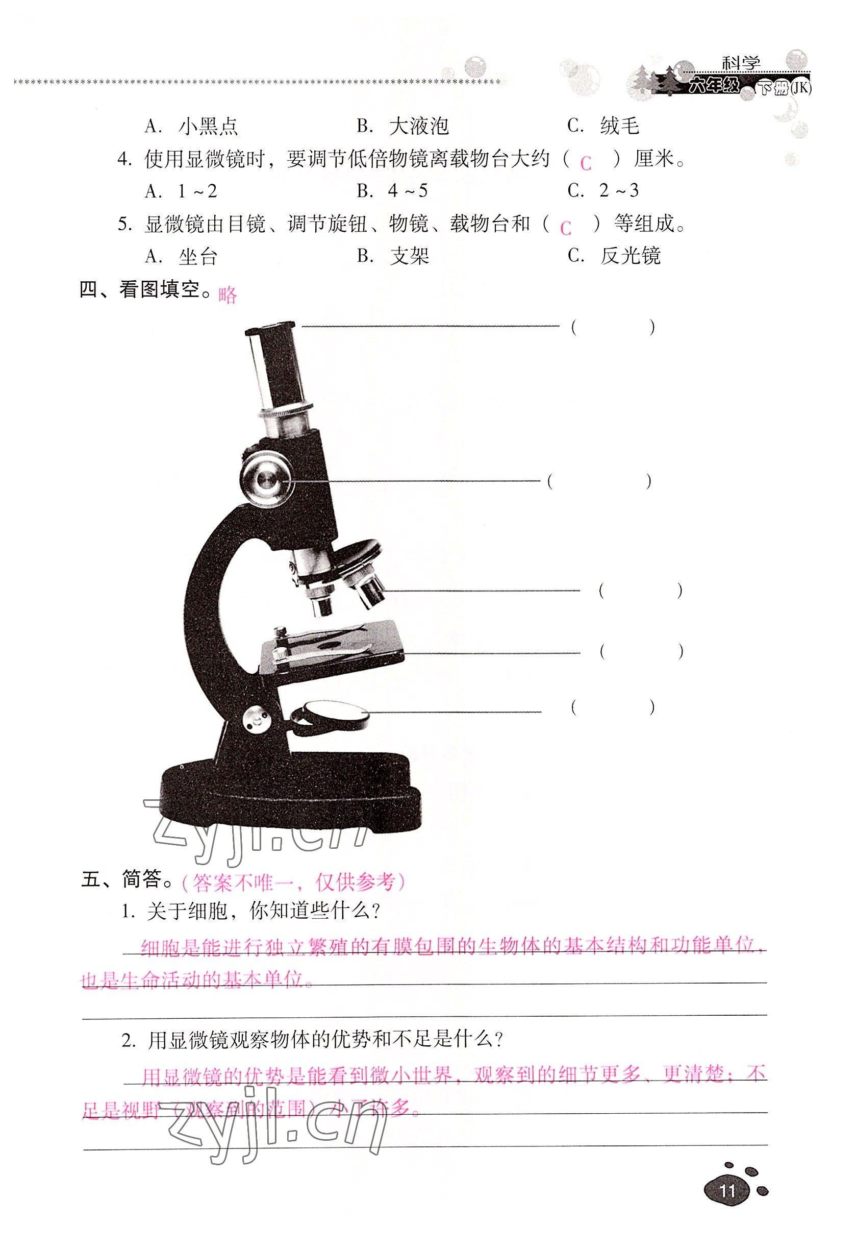 2022年云南省标准教辅同步指导训练与检测六年级科学下册教科版 参考答案第10页