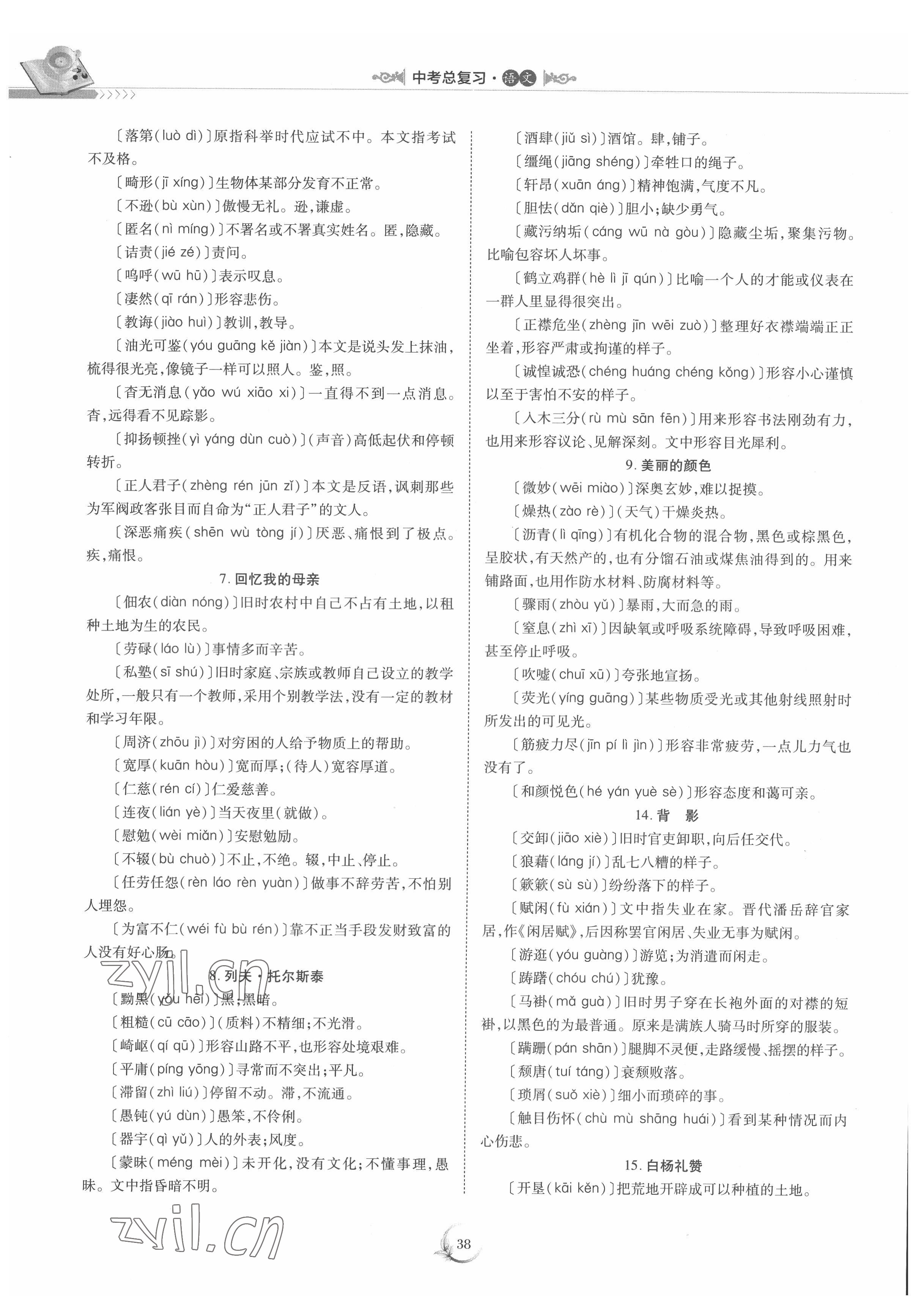 2022年中考總復(fù)習(xí)重慶出版社語文 參考答案第38頁