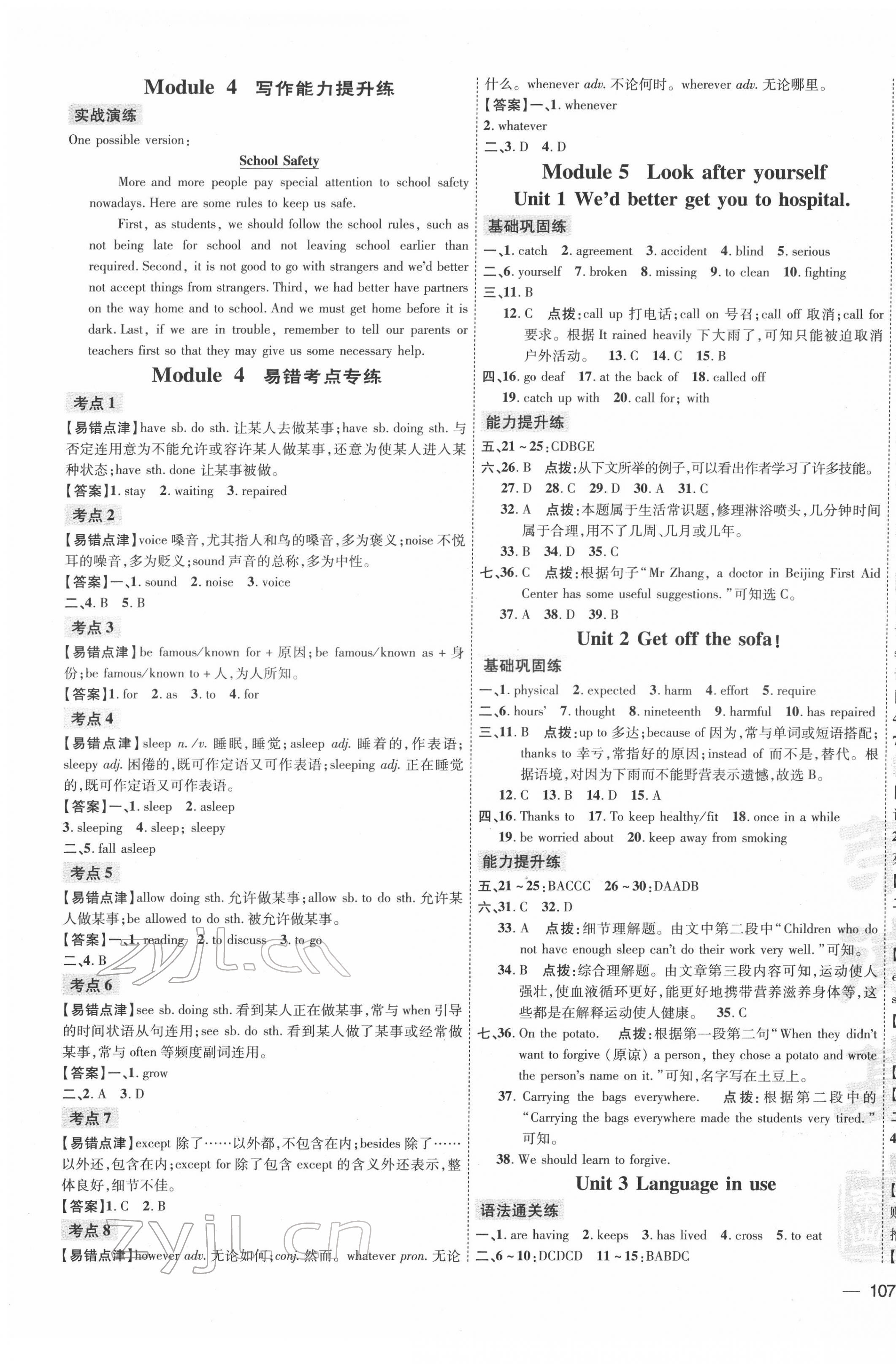 2022年点拨训练九年级英语下册外研版安徽专版&nbsp;第5页