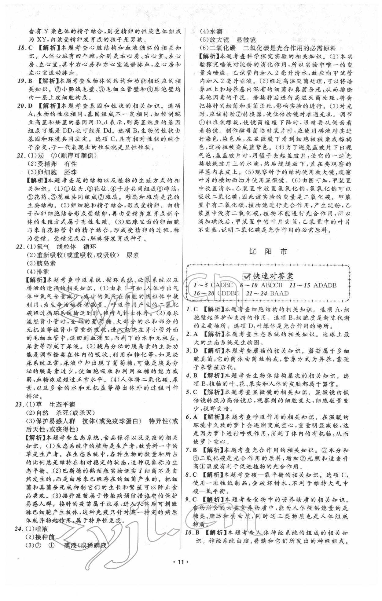 2022年中考必备生物人教版辽宁专版 第11页