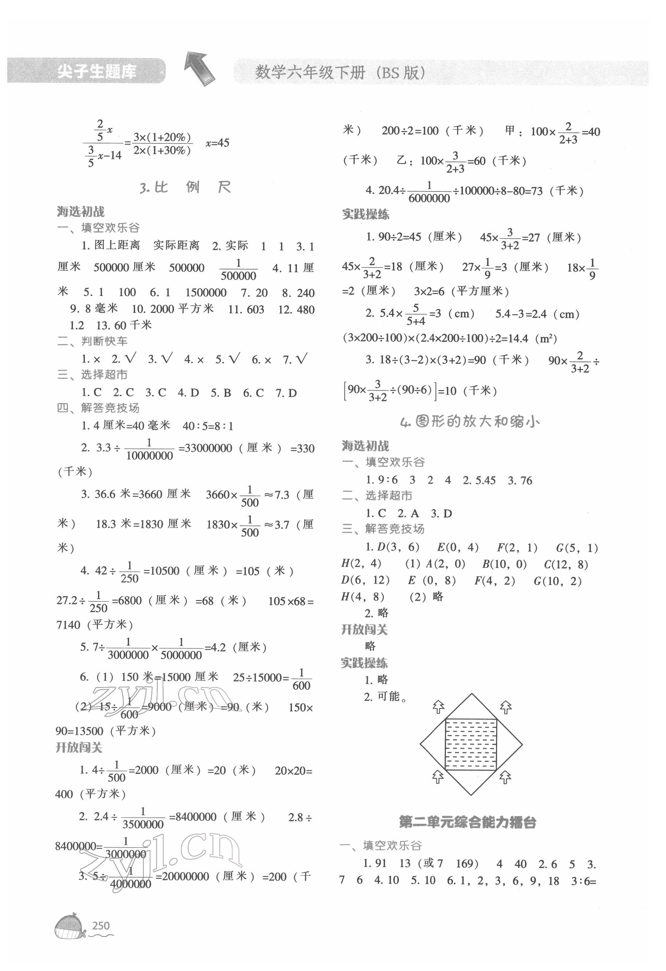 2022年尖子生題庫(kù)六年級(jí)數(shù)學(xué)下冊(cè)北師大版 第6頁(yè)