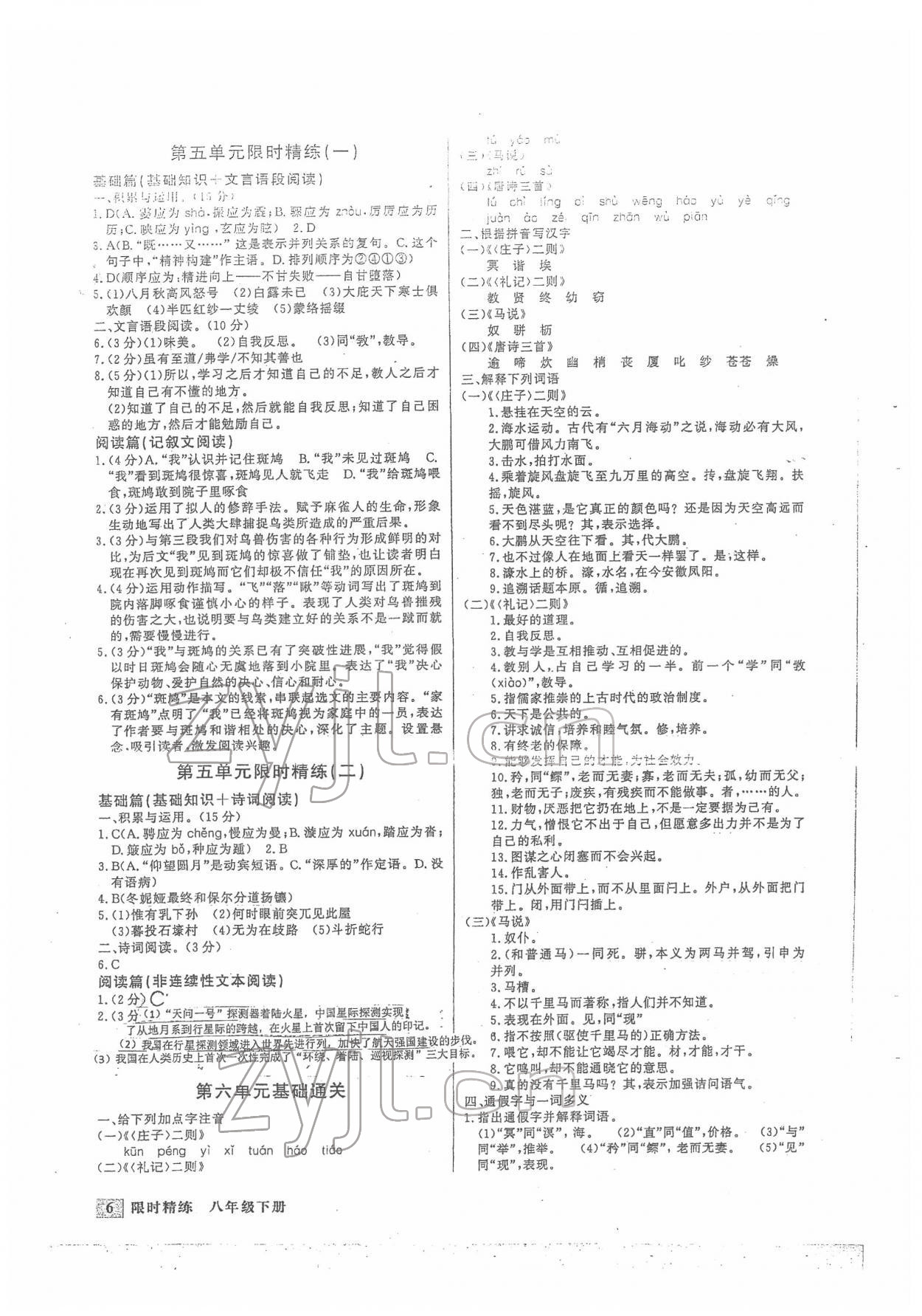 2022年直通中考專項訓(xùn)練限時精練八年級語文下冊 第6頁