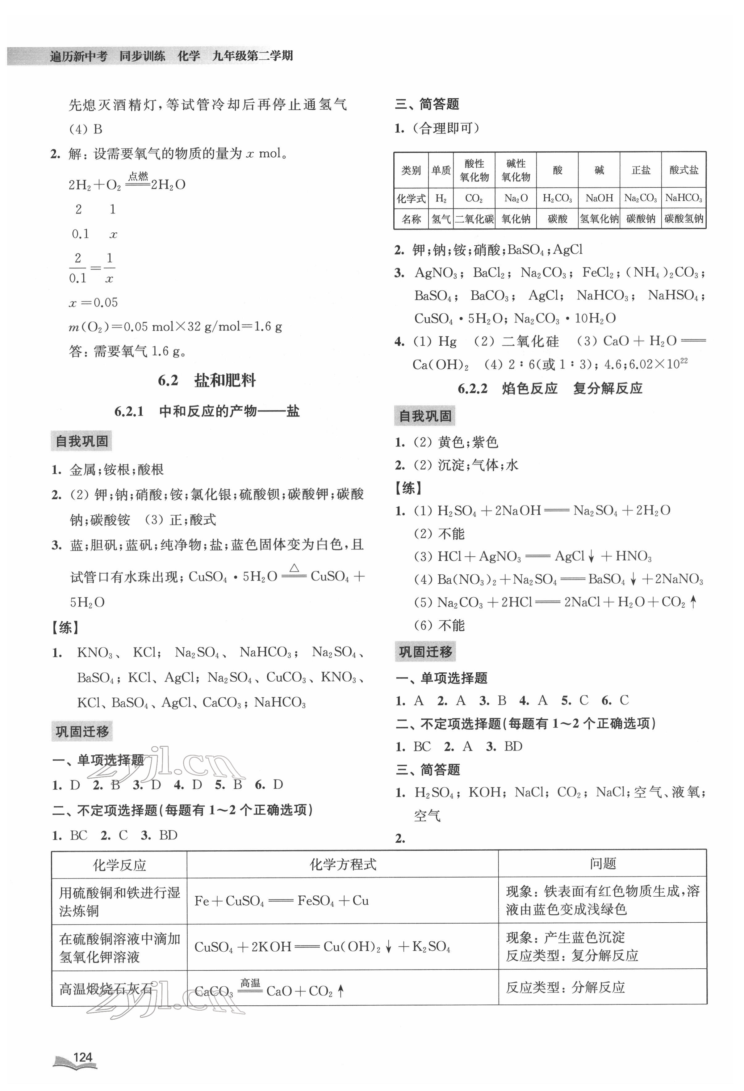 2022年遍歷新中考同步訓練九年級化學下冊滬教版 第5頁