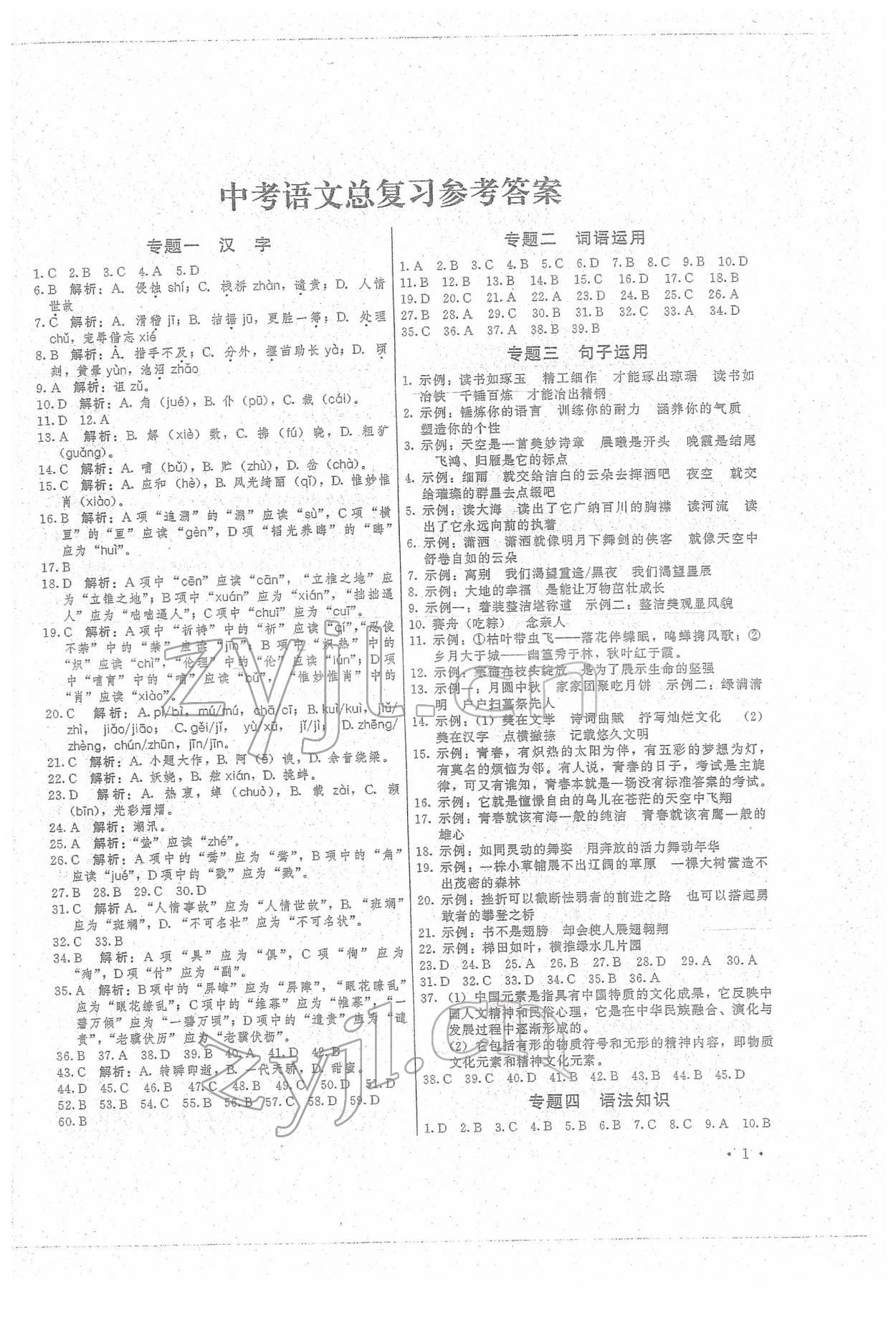 2022年直通中考專項訓練中考總復習語文 第1頁