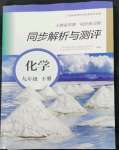 2022年人教金學(xué)典同步解析與測(cè)評(píng)九年級(jí)化學(xué)下冊(cè)人教版山西專版