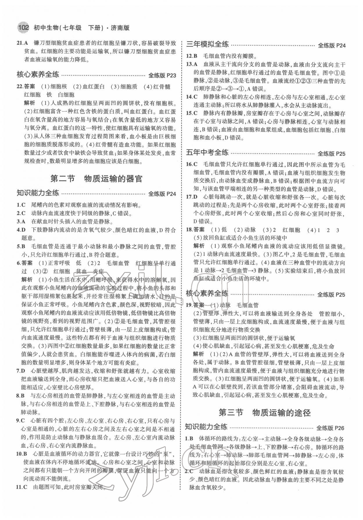 2022年5年中考3年模擬七年級(jí)生物下冊(cè)濟(jì)南版 第8頁