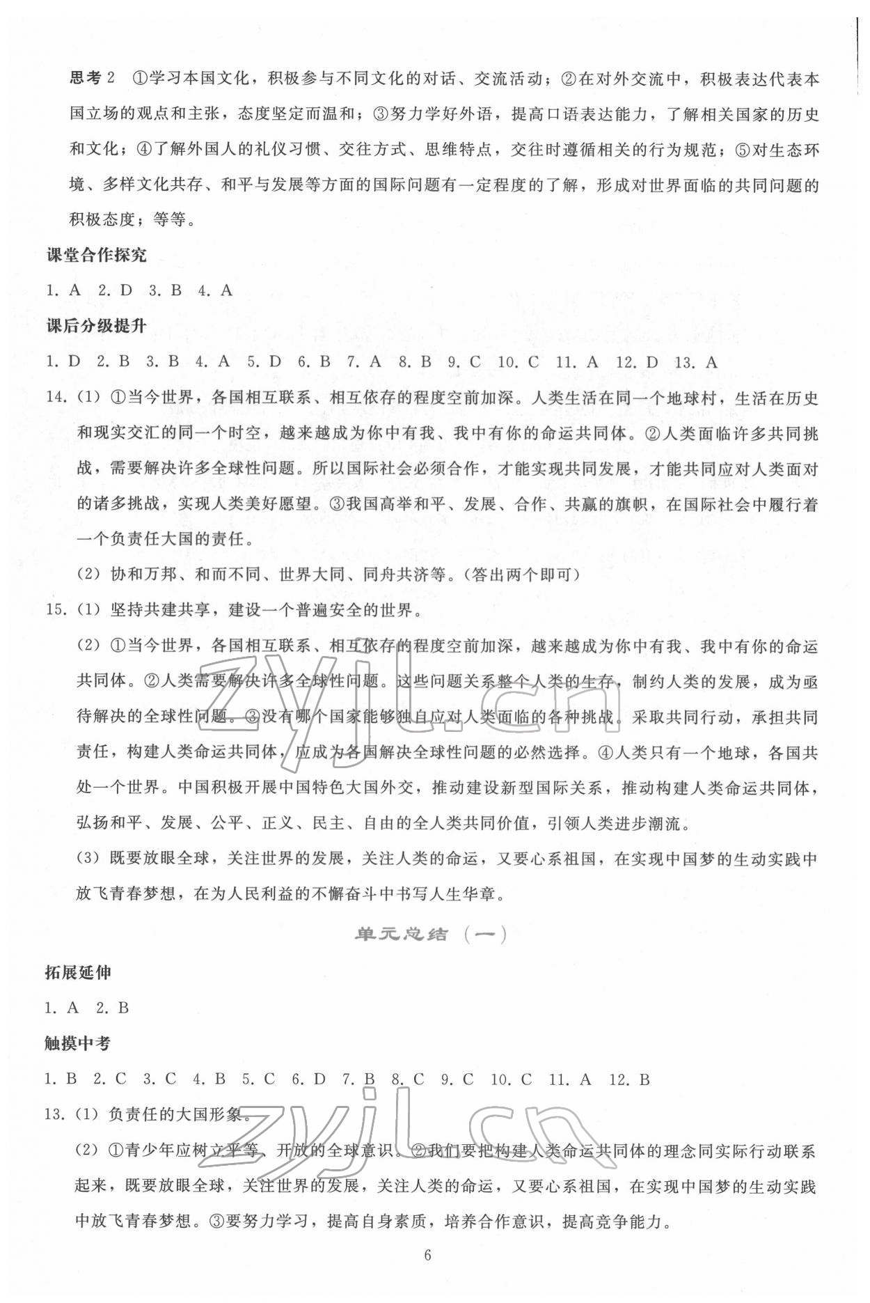 2022年同步轻松练习九年级道德与法治下册人教版 第5页