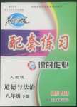 2022年名師點撥配套練習課時作業(yè)八年級道德與法治下冊人教版