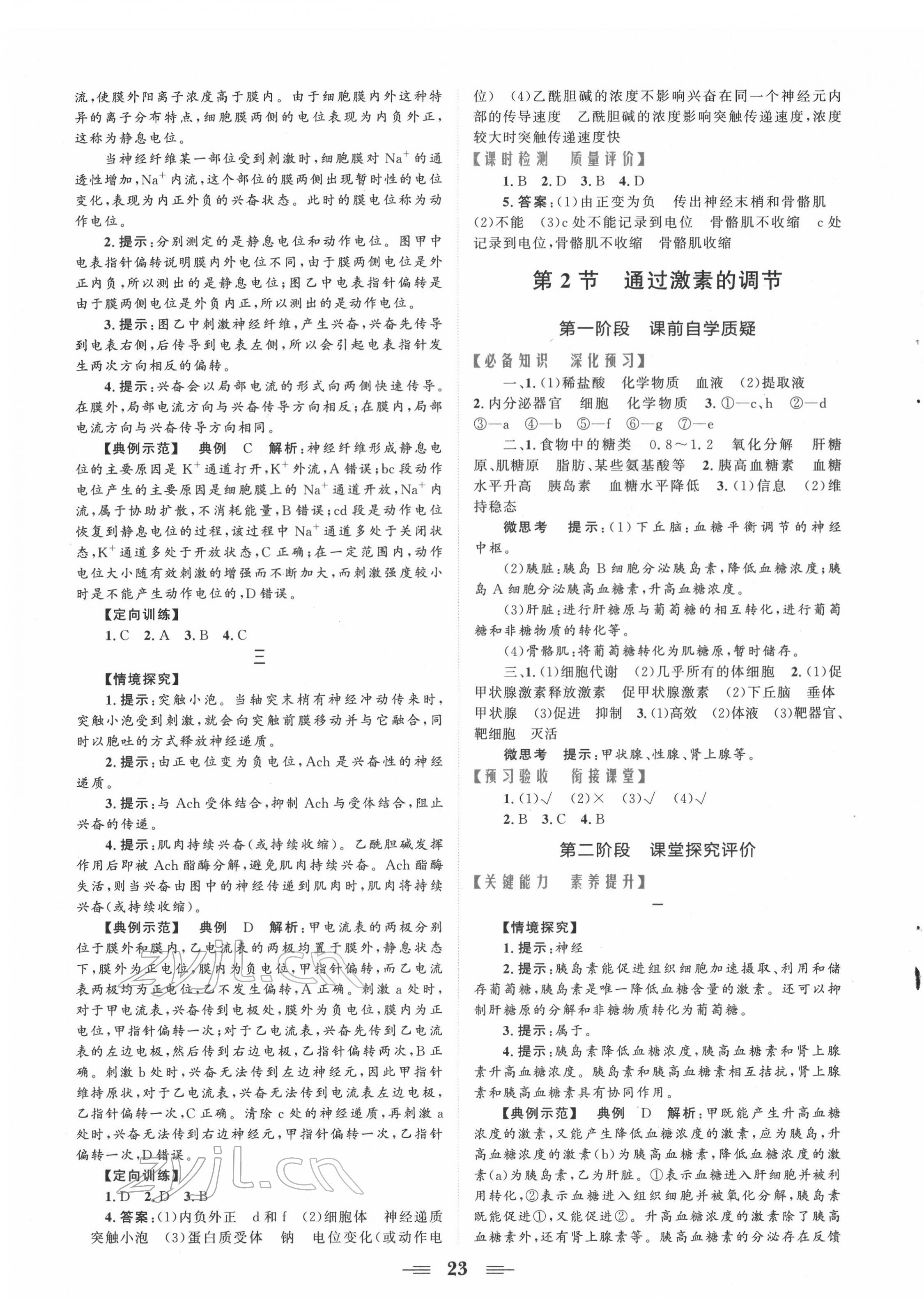 2022年點(diǎn)金訓(xùn)練精講巧練高中生物必修3人教版 第3頁