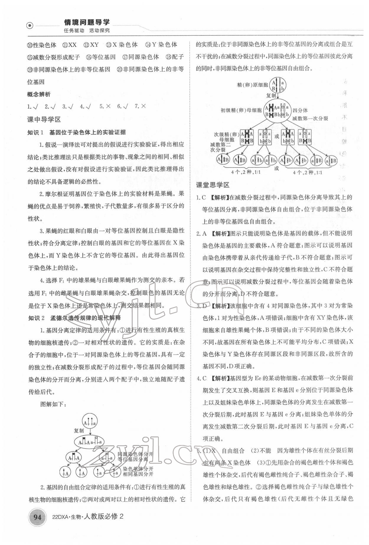 2022年金太陽導學案高中生物必修2人教版 第8頁