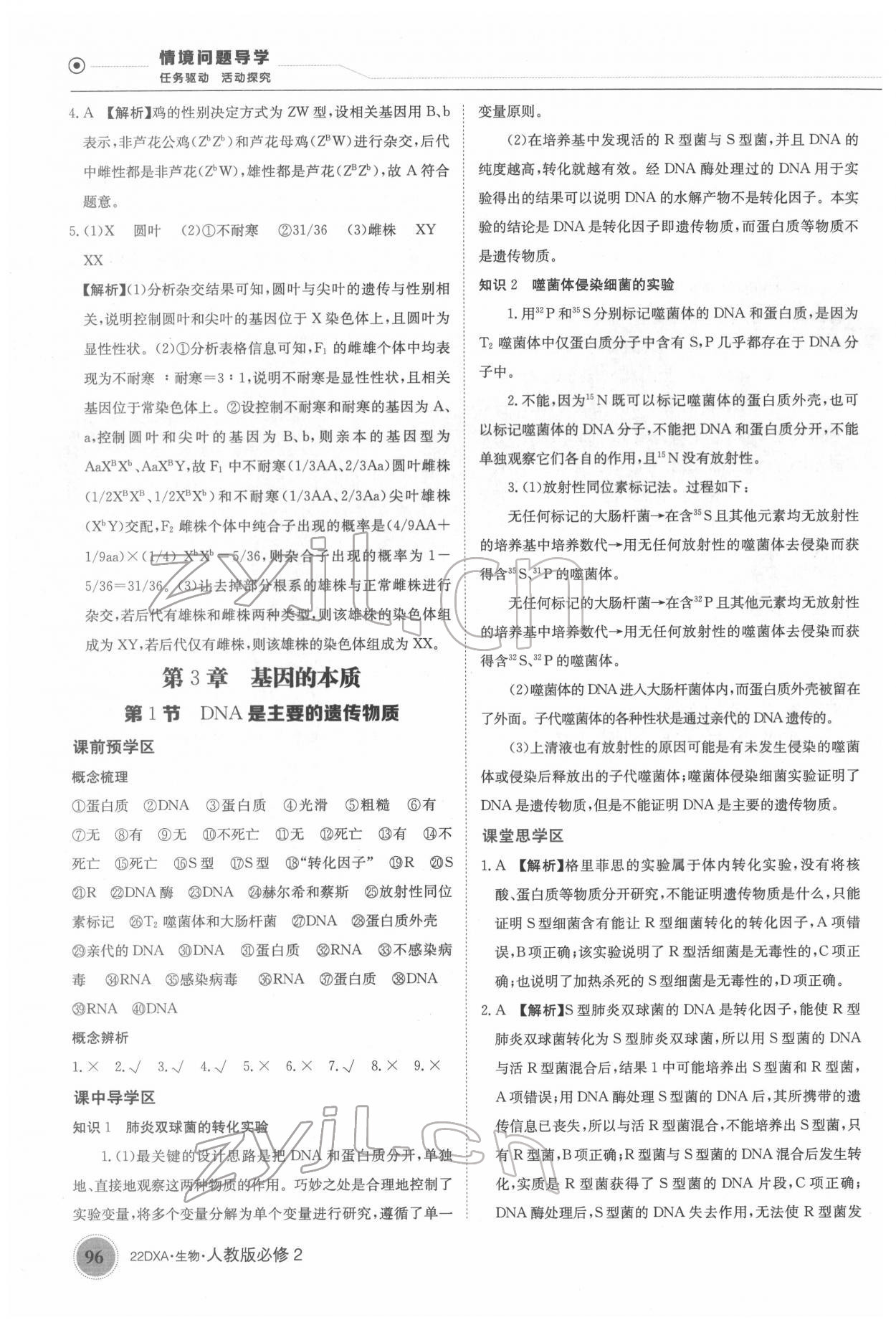 2022年金太陽(yáng)導(dǎo)學(xué)案高中生物必修2人教版 第10頁(yè)