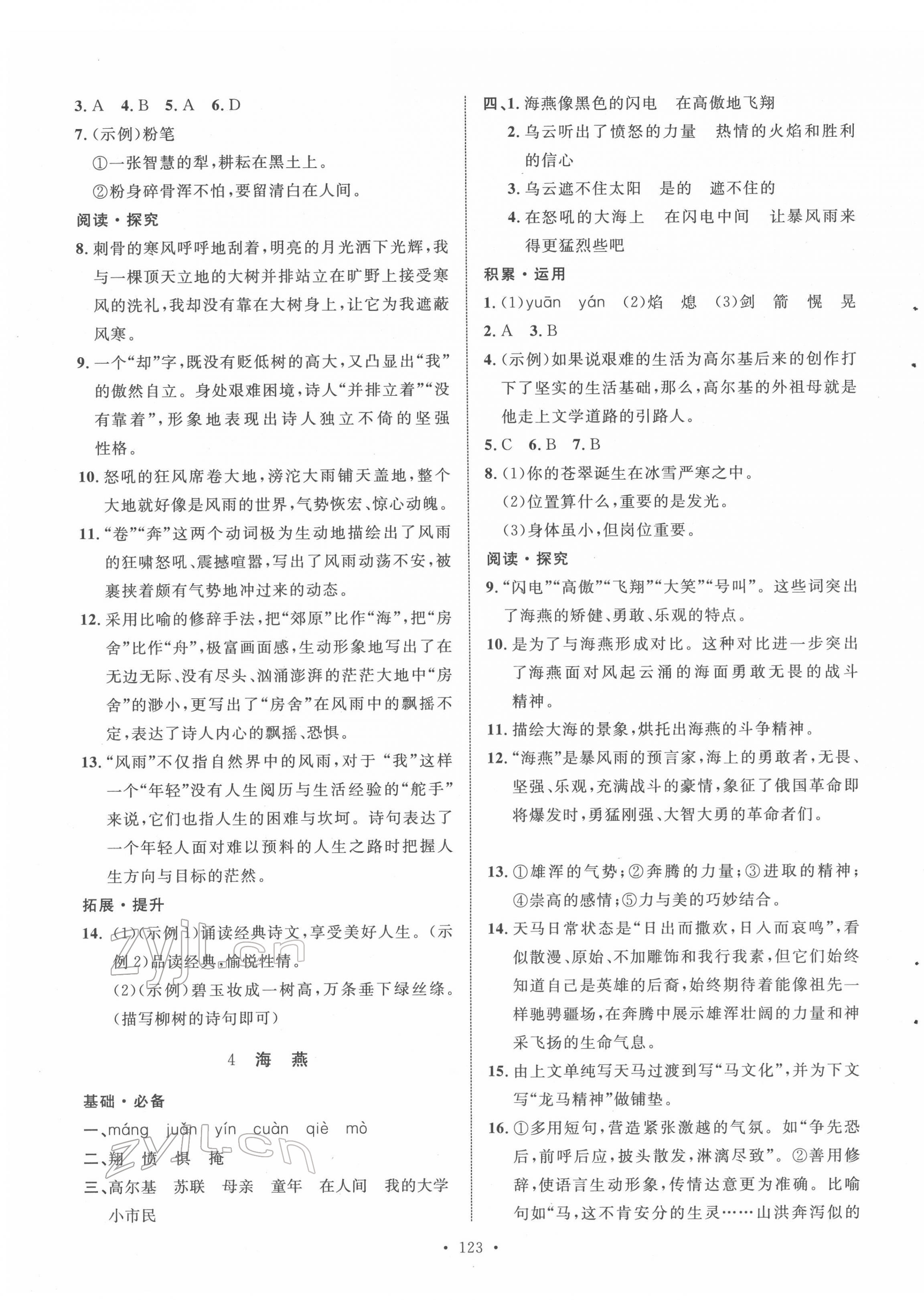 2022年實(shí)驗(yàn)教材新學(xué)案九年級(jí)語(yǔ)文下冊(cè)人教版 第3頁(yè)