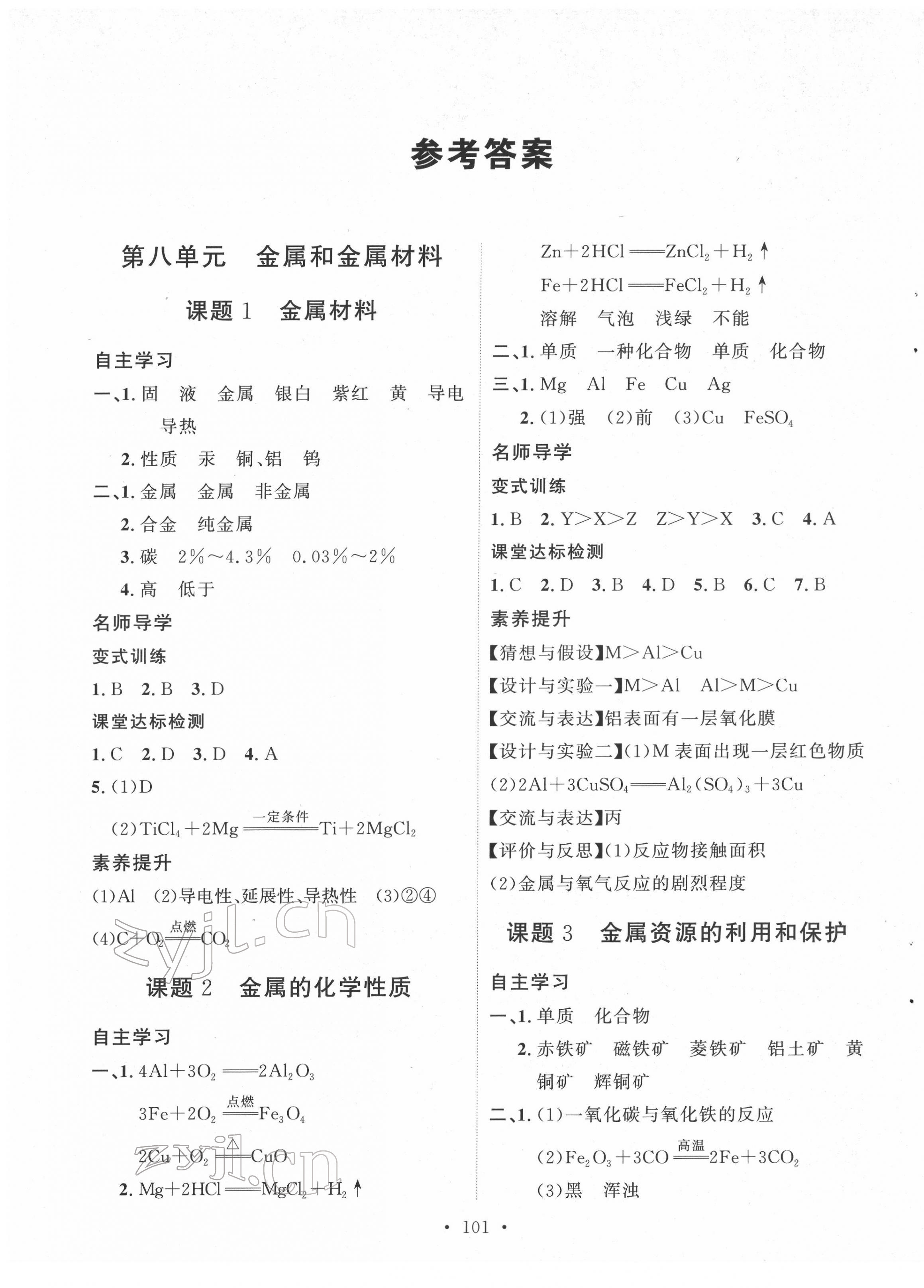 2022年實(shí)驗(yàn)教材新學(xué)案九年級化學(xué)下冊人教版 第1頁