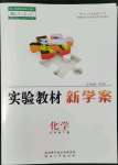 2022年實(shí)驗(yàn)教材新學(xué)案九年級化學(xué)下冊人教版