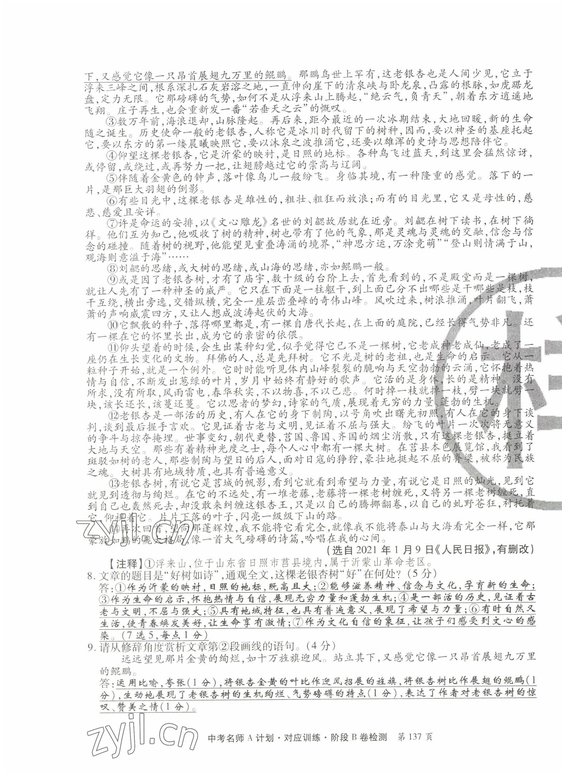 2022年學典中考名師A計劃語文 第3頁