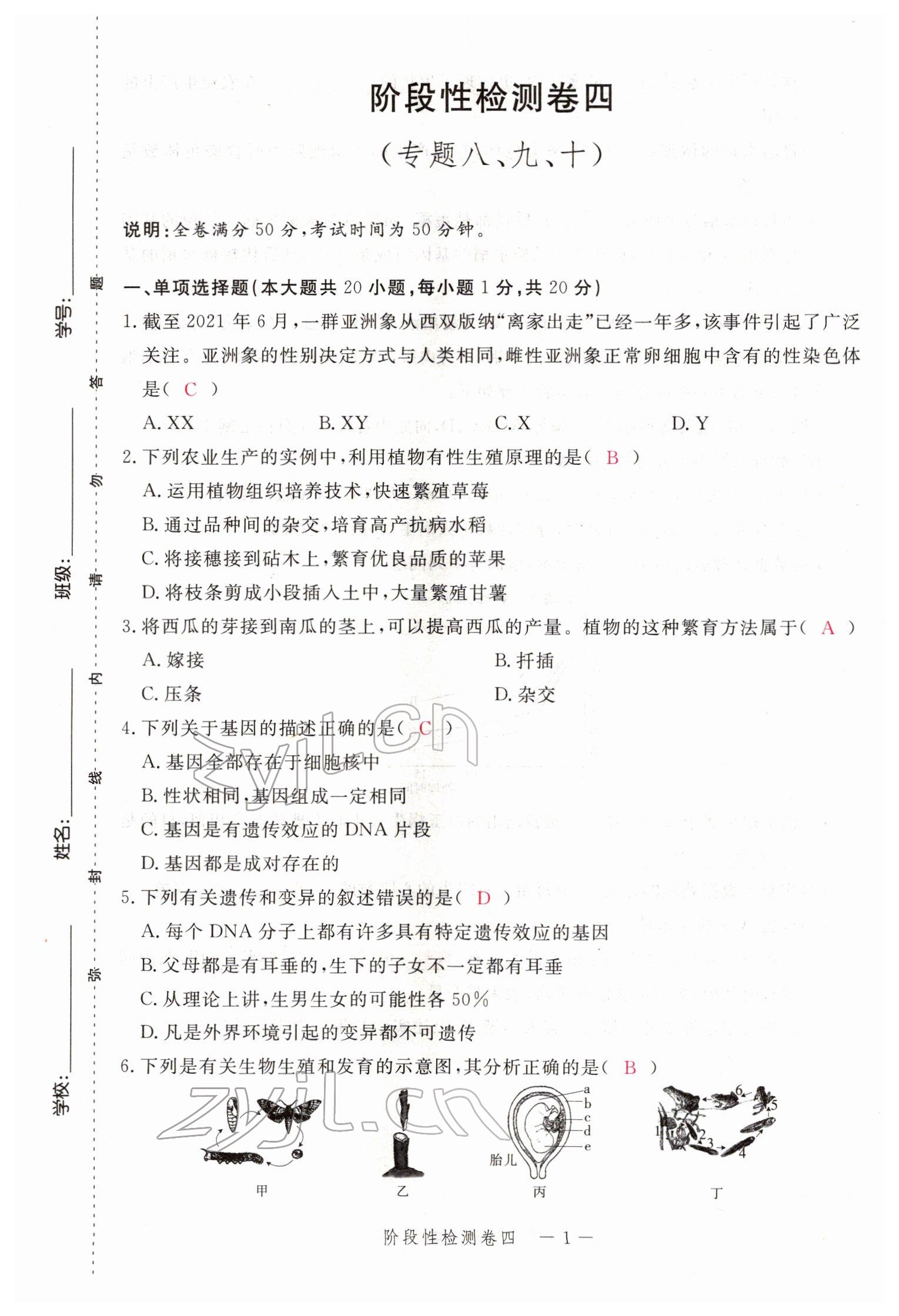 2022年芝麻開花學考方略生物人教版 參考答案第54頁