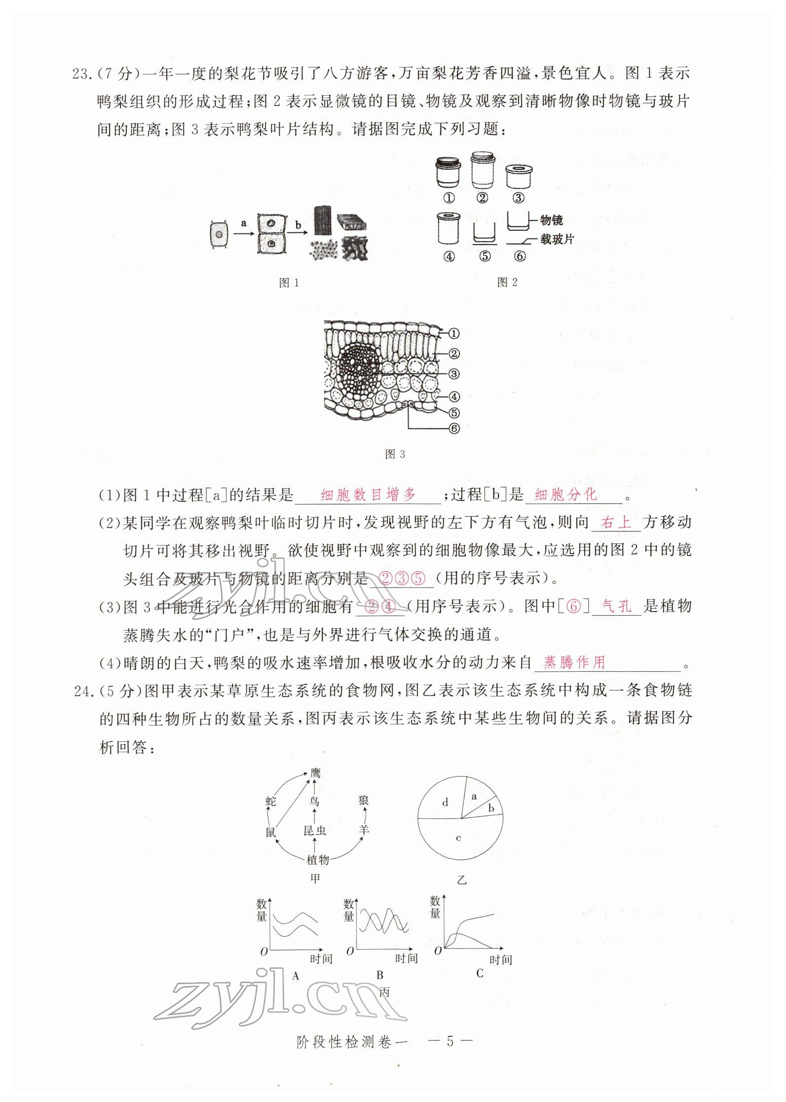 2022年芝麻开花学考方略生物人教版 参考答案第12页