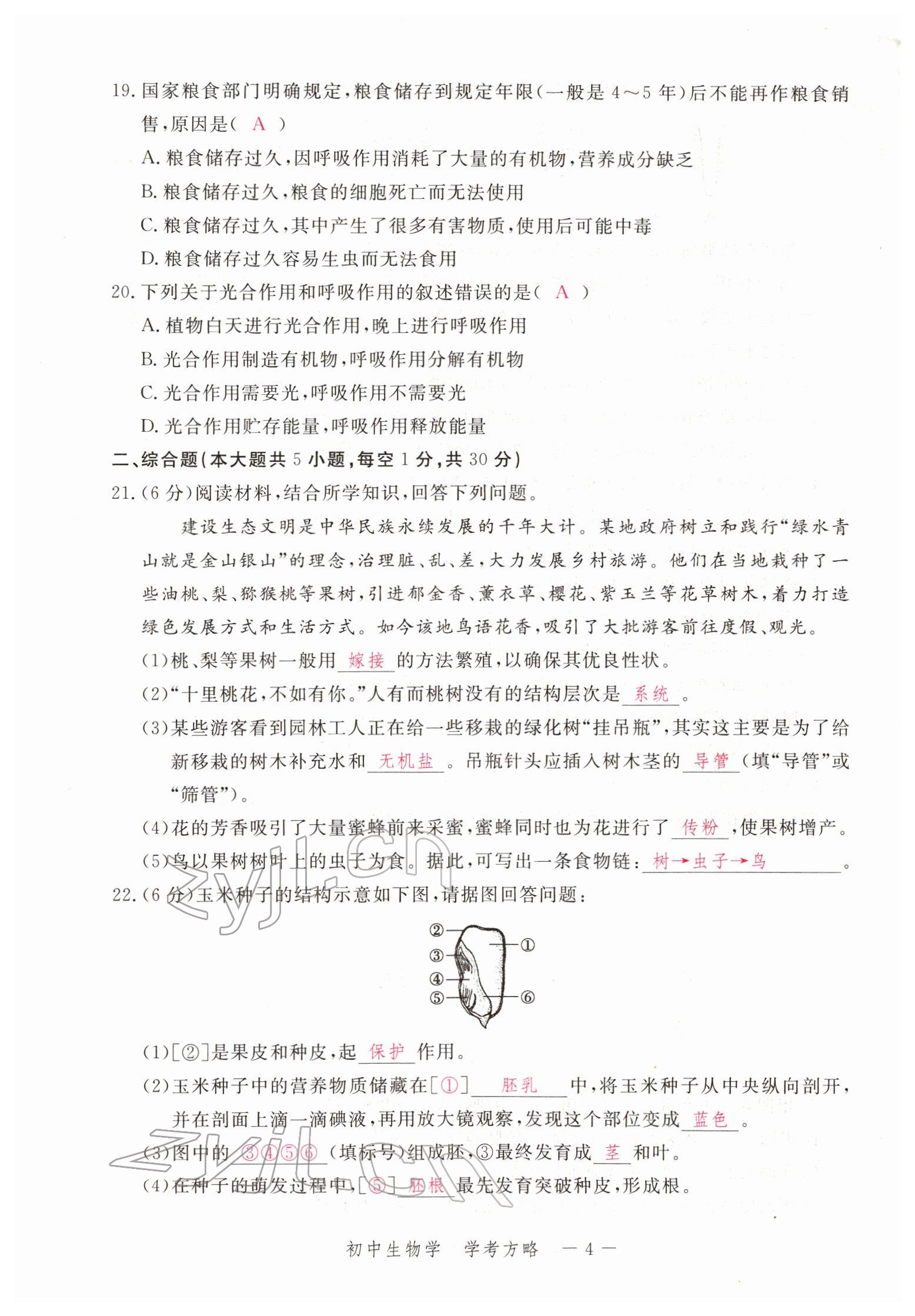 2022年芝麻開花學考方略生物人教版 參考答案第9頁