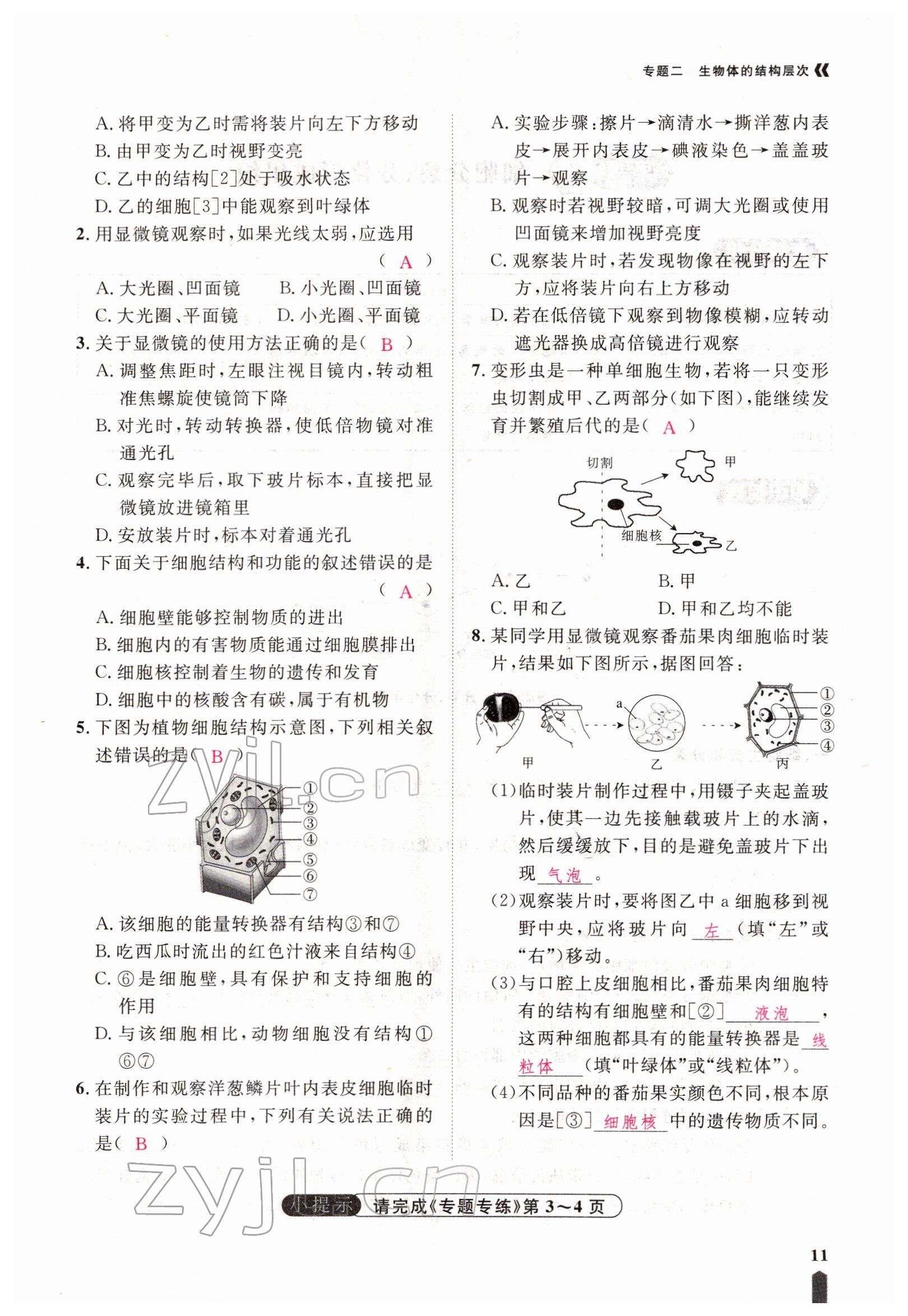 2022年芝麻開花學考方略生物人教版 參考答案第29頁