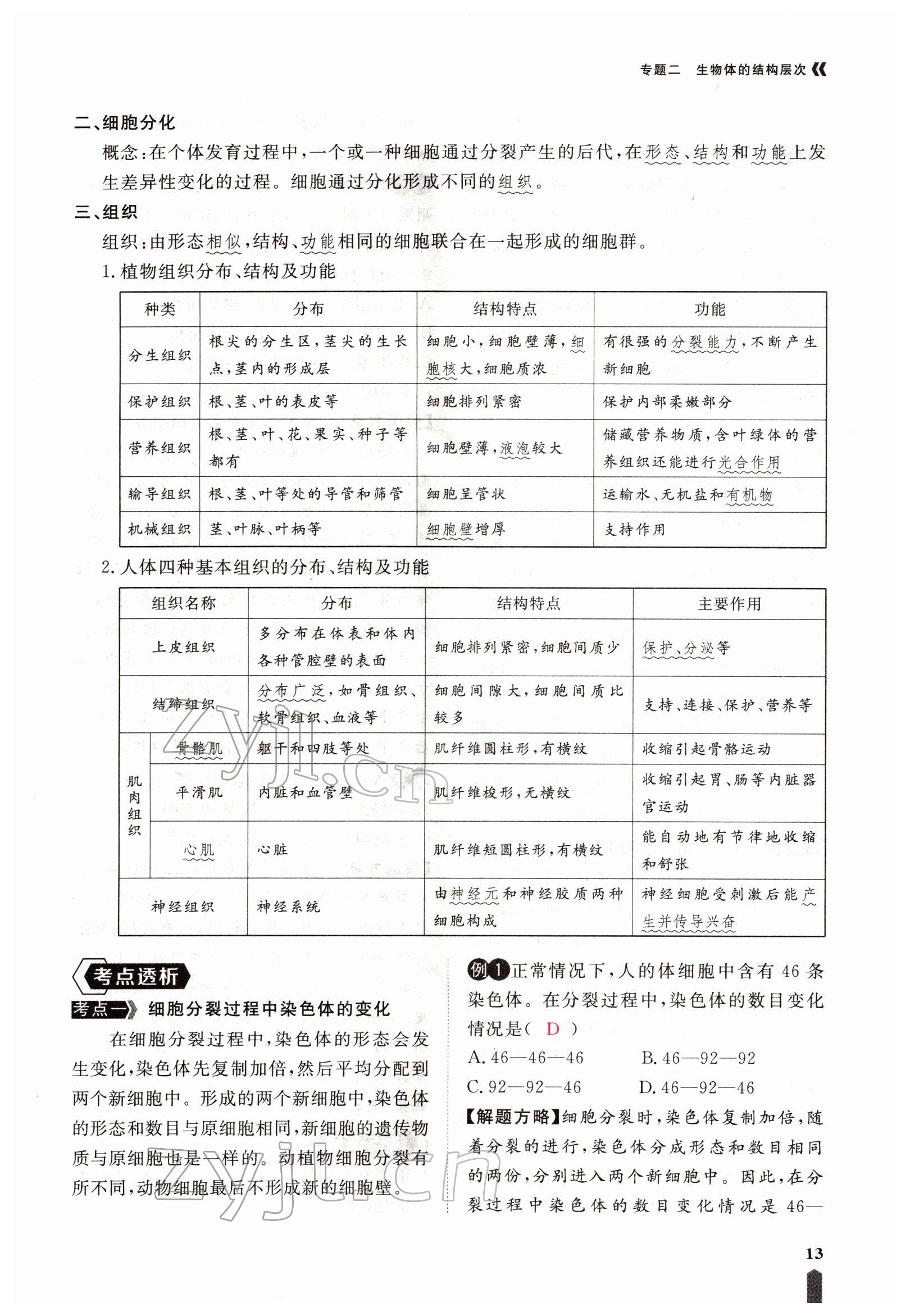 2022年芝麻開花學考方略生物人教版 參考答案第35頁