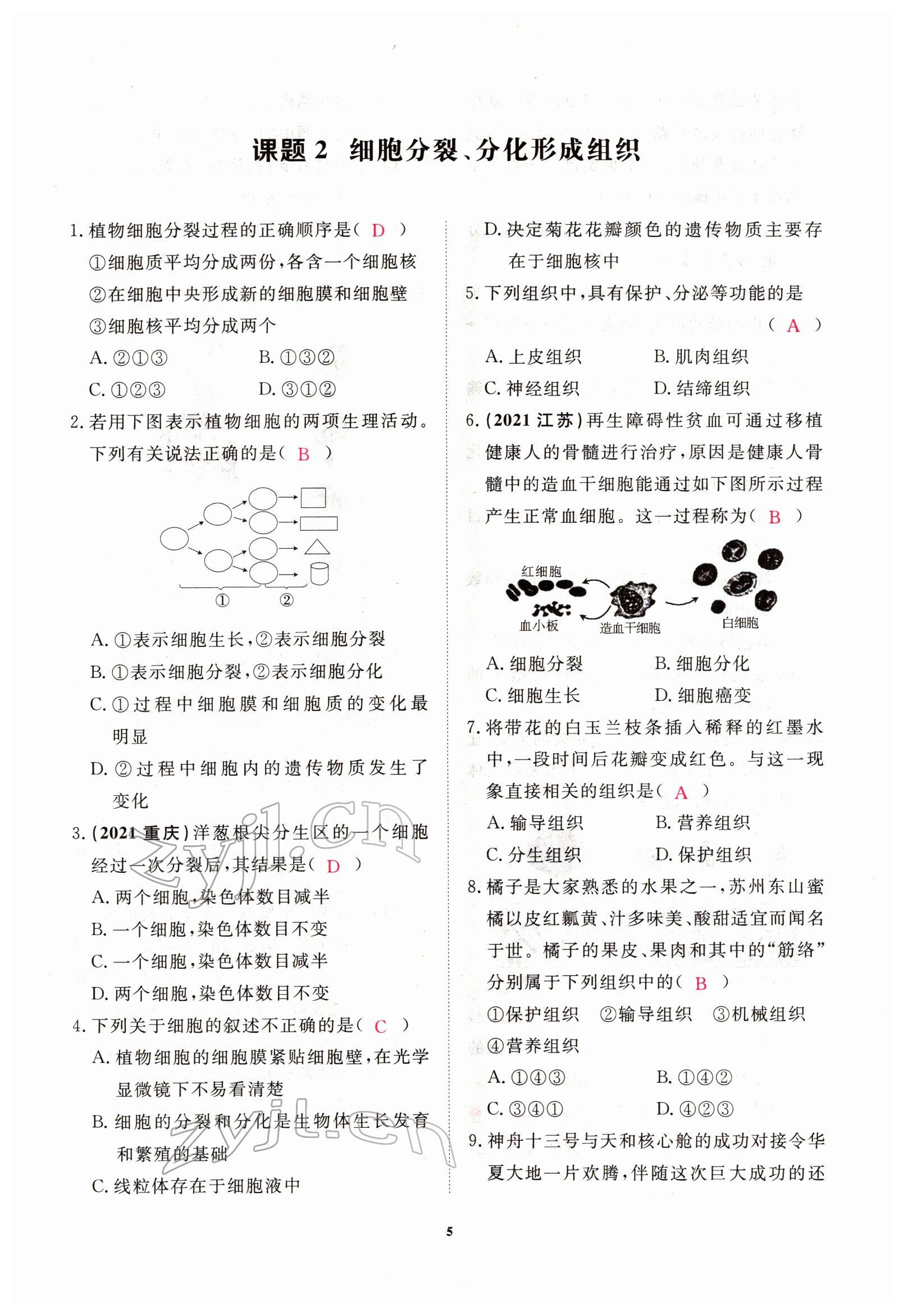 2022年芝麻開花學考方略生物人教版 參考答案第19頁