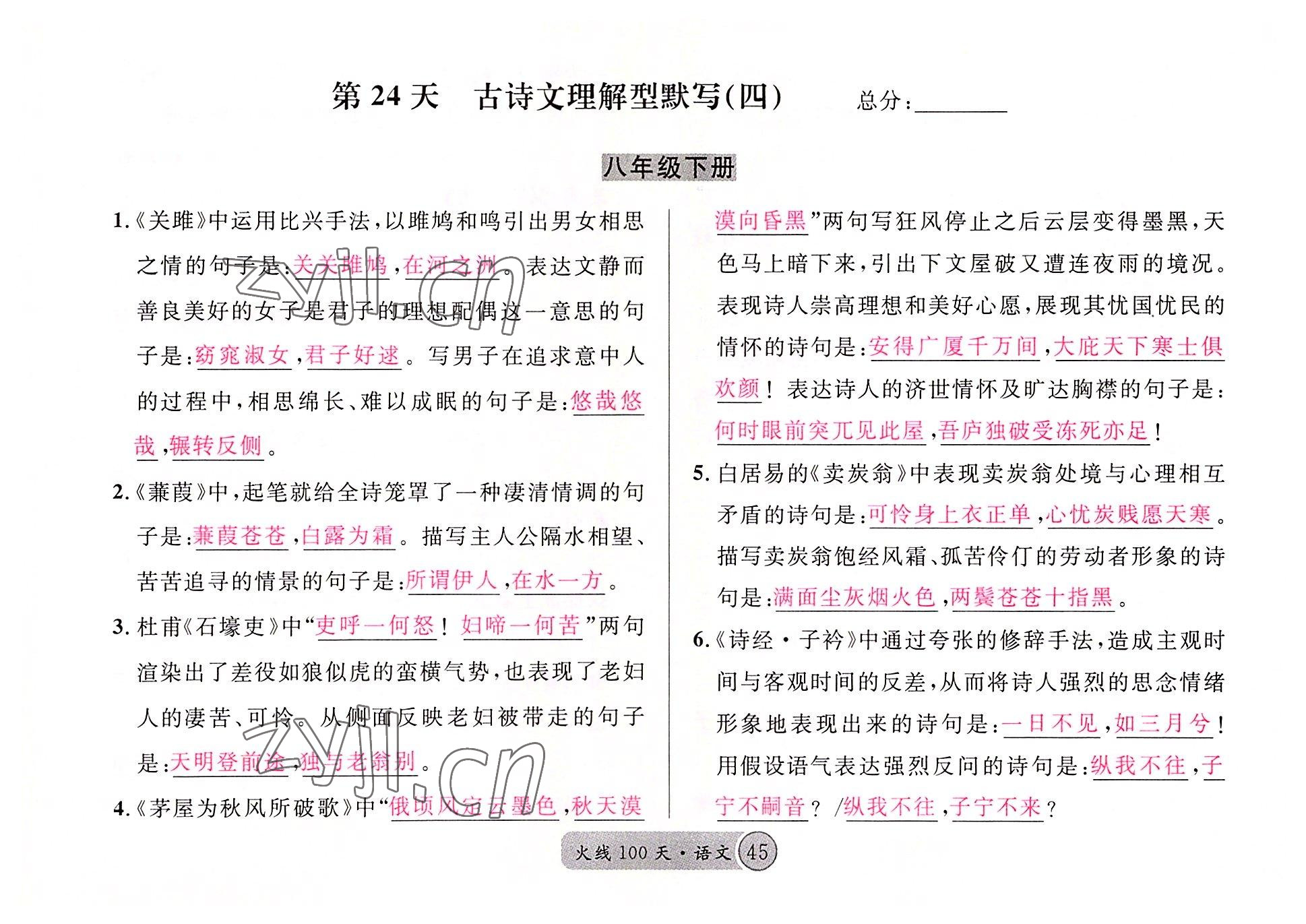 2022年火線100天語文中考黃岡孝感咸寧專版 參考答案第45頁