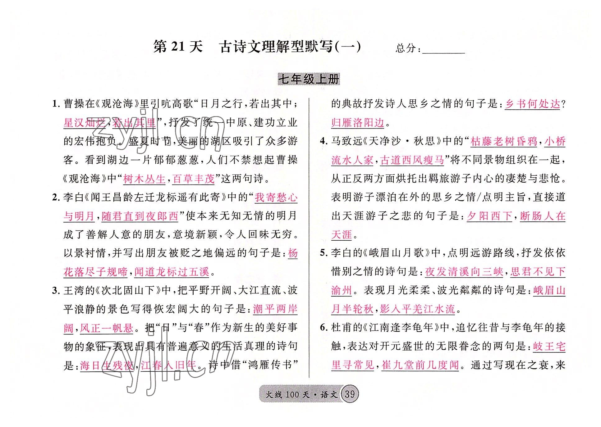 2022年火線100天語文中考黃岡孝感咸寧專版 參考答案第39頁
